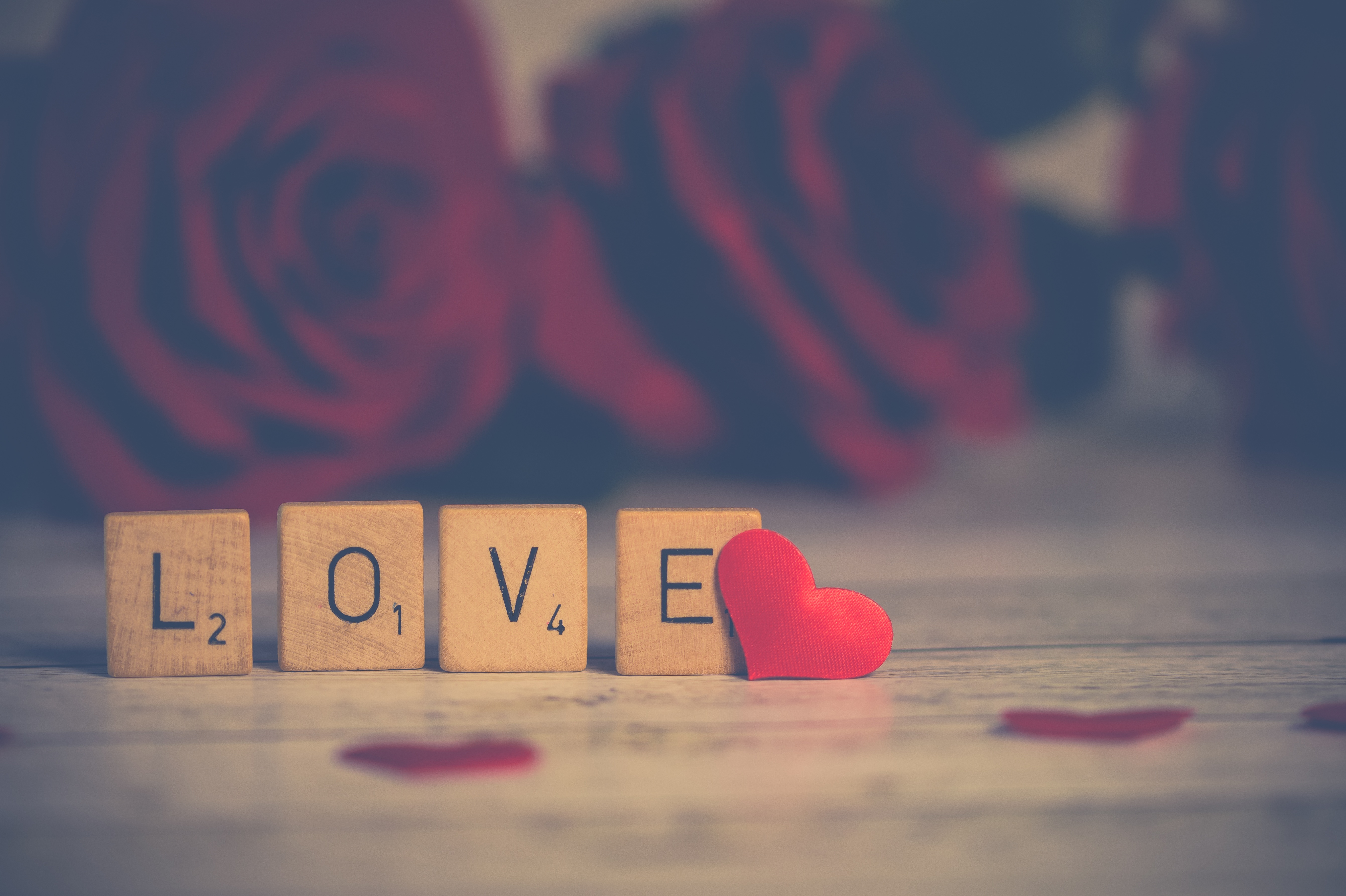 Free Images  Love