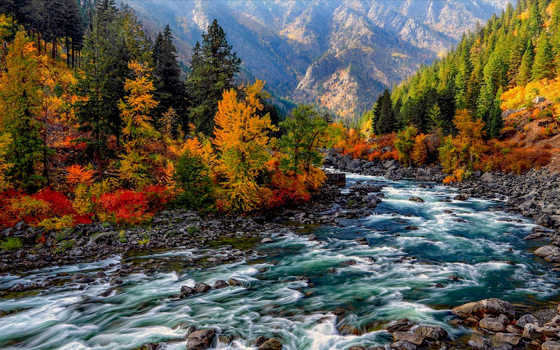 Осень Горная река лес