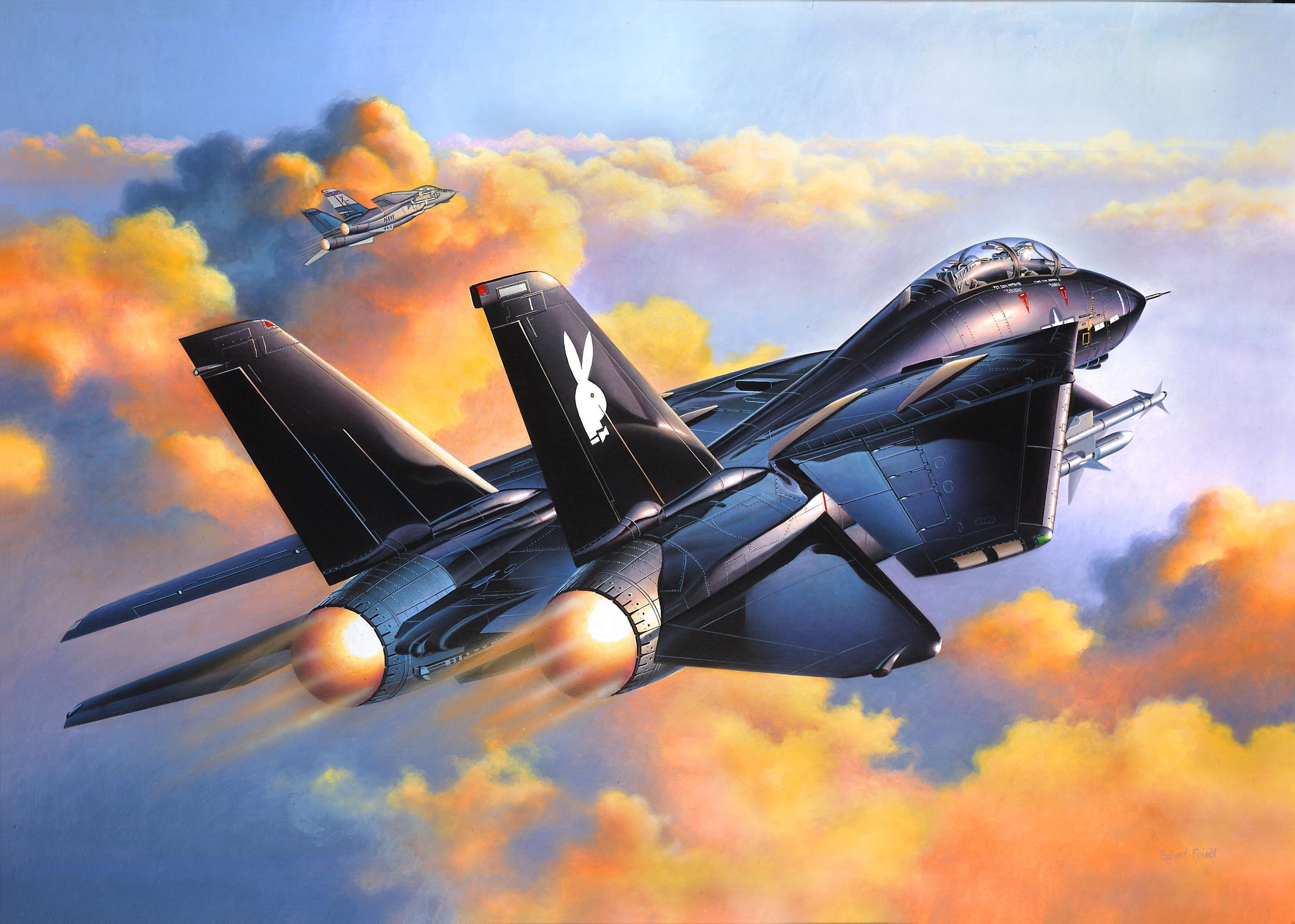 Создание истребителей. Военный самолет f14 Tomcat. Ф-14 Томкэт. F 14 истребитель. Grumman f-14 Tomcat Art.