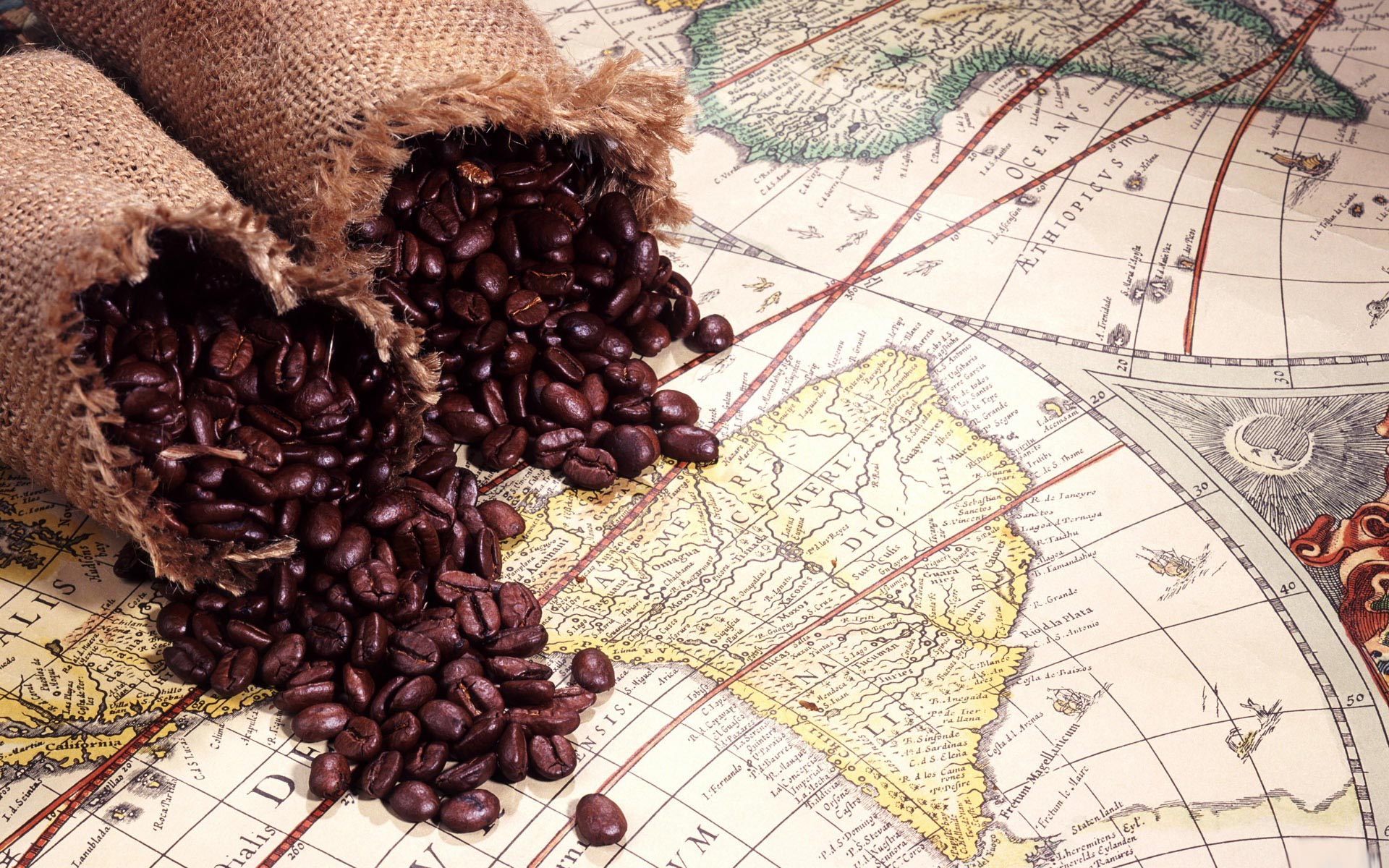 География кофейных зерен