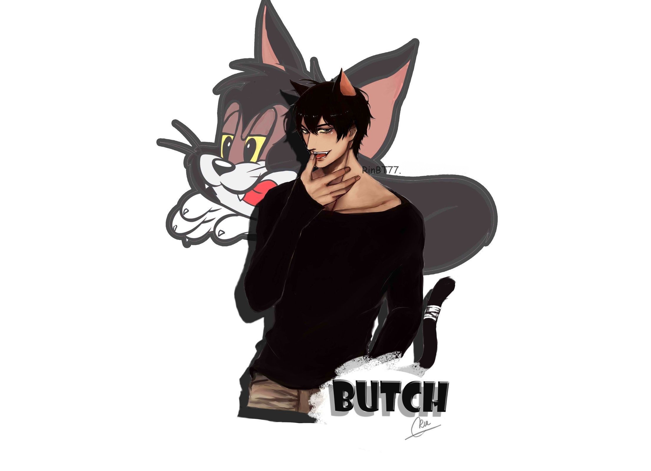 4K Butch Cat desktop Wallpaper