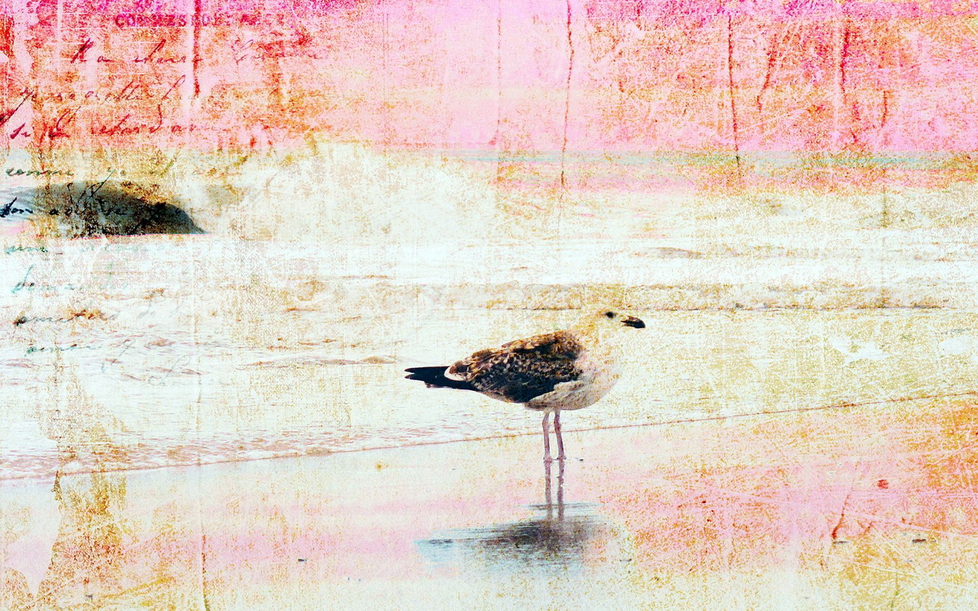 Free download wallpaper Bird, Image, Background, Texture, Textures, Stains, Picture, Spots on your PC desktop