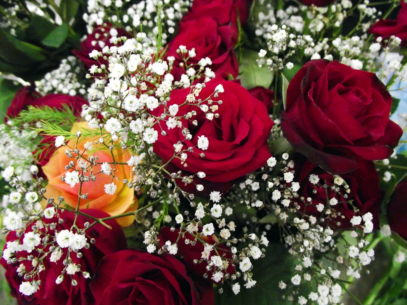 Laden Sie das Strauß, Gipsophile, Blumen, Roses, Nahaufnahme, Bouquet, Nahansicht, Schleierkraut-Bild kostenlos auf Ihren PC-Desktop herunter