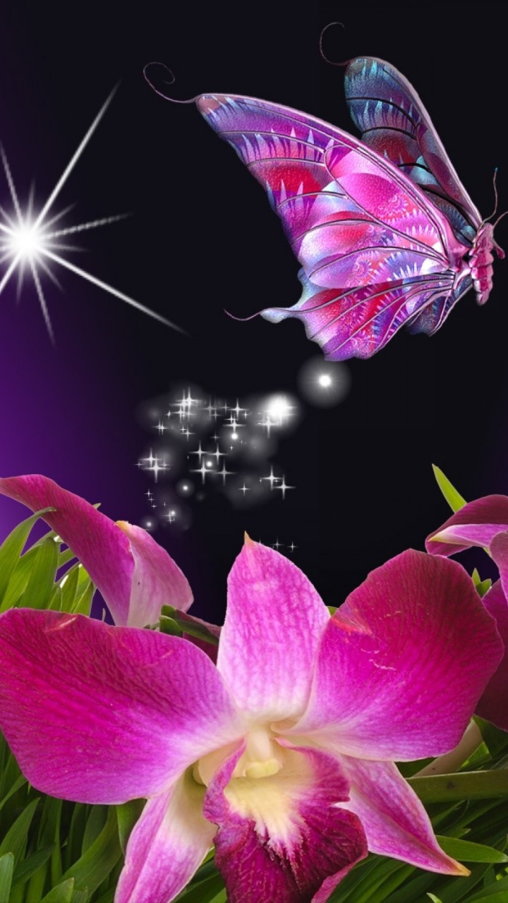 Картинки на телефон на заставку красивые живые. Бабочка на цветке. Красивые бабочки и цветы живые. Красивые темы на телефон. Красивые обои на телефон.