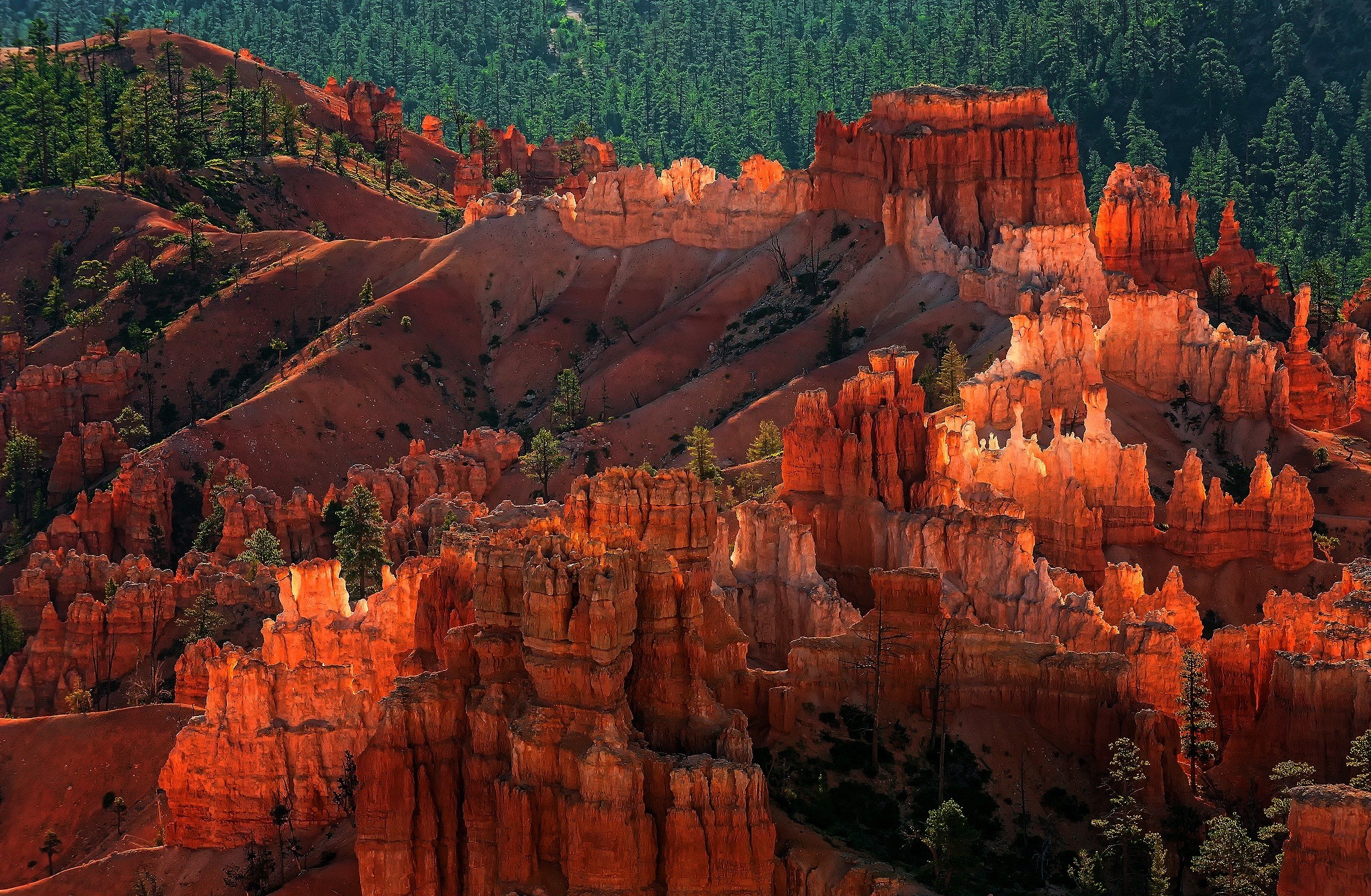 Desktop FHD utah, national park, earth, bryce canyon national park, forest, mountain
