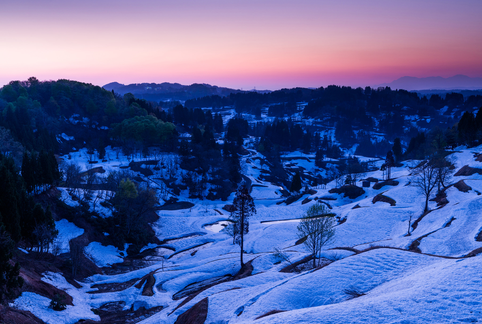 Free download wallpaper Landscape, Winter, Snow, Tree, Earth on your PC desktop