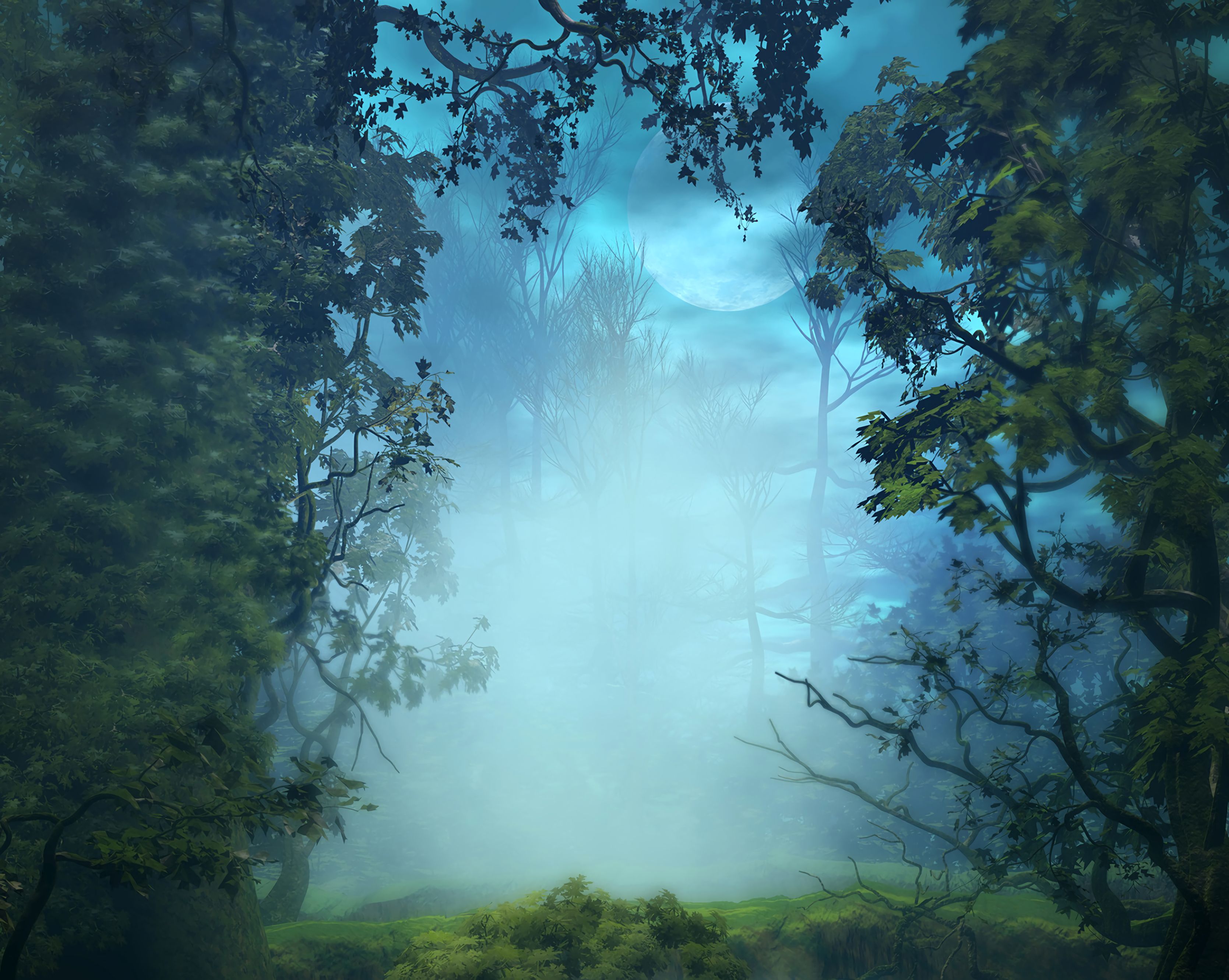 Free download wallpaper Art, Nature, Trees, Forest, Branches, Fog on your PC desktop