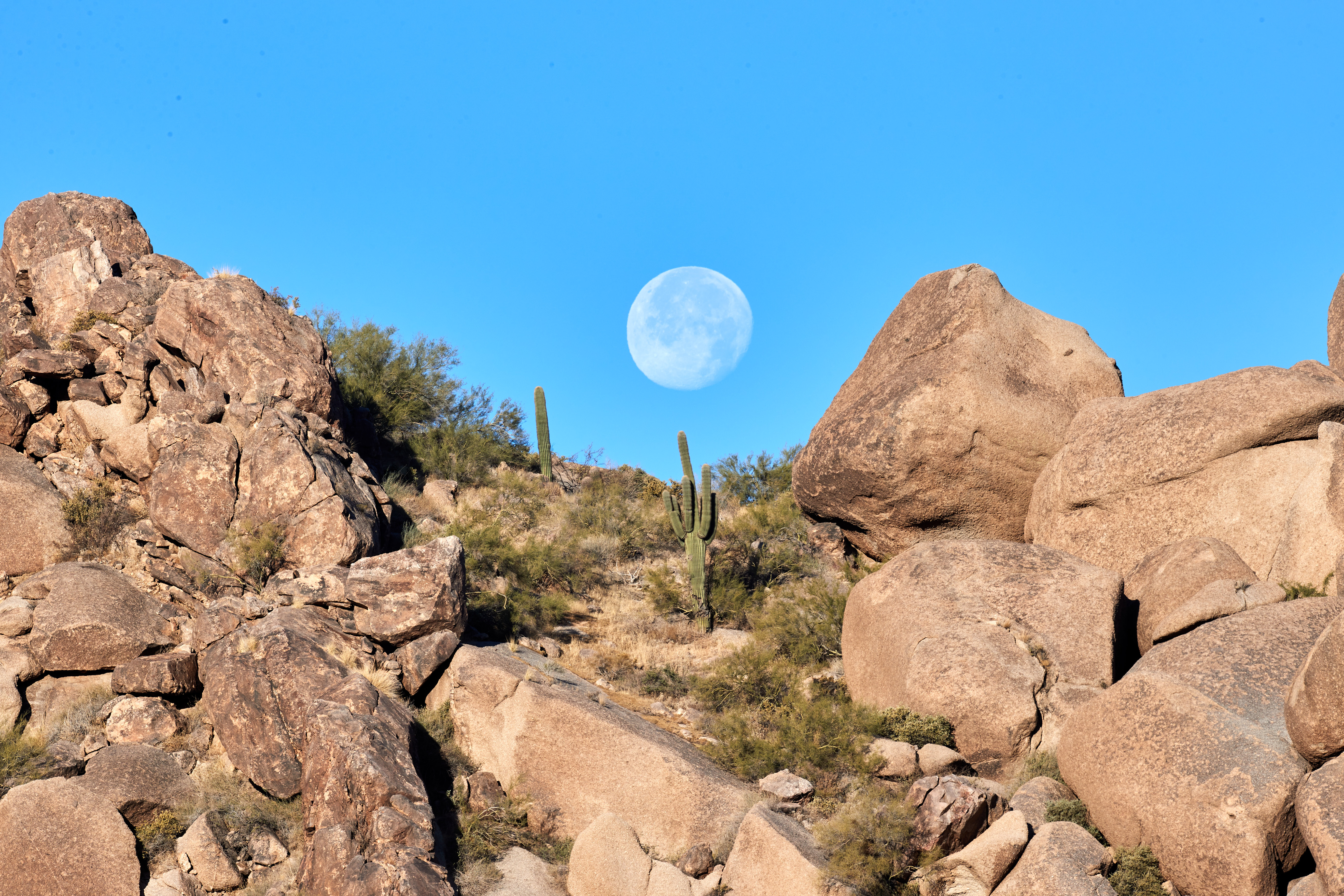 Download mobile wallpaper Rocks, Cactuses, Landscape, Nature, Moon for free.