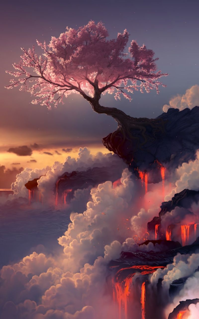 Цветущая Сакура на краю вулкана