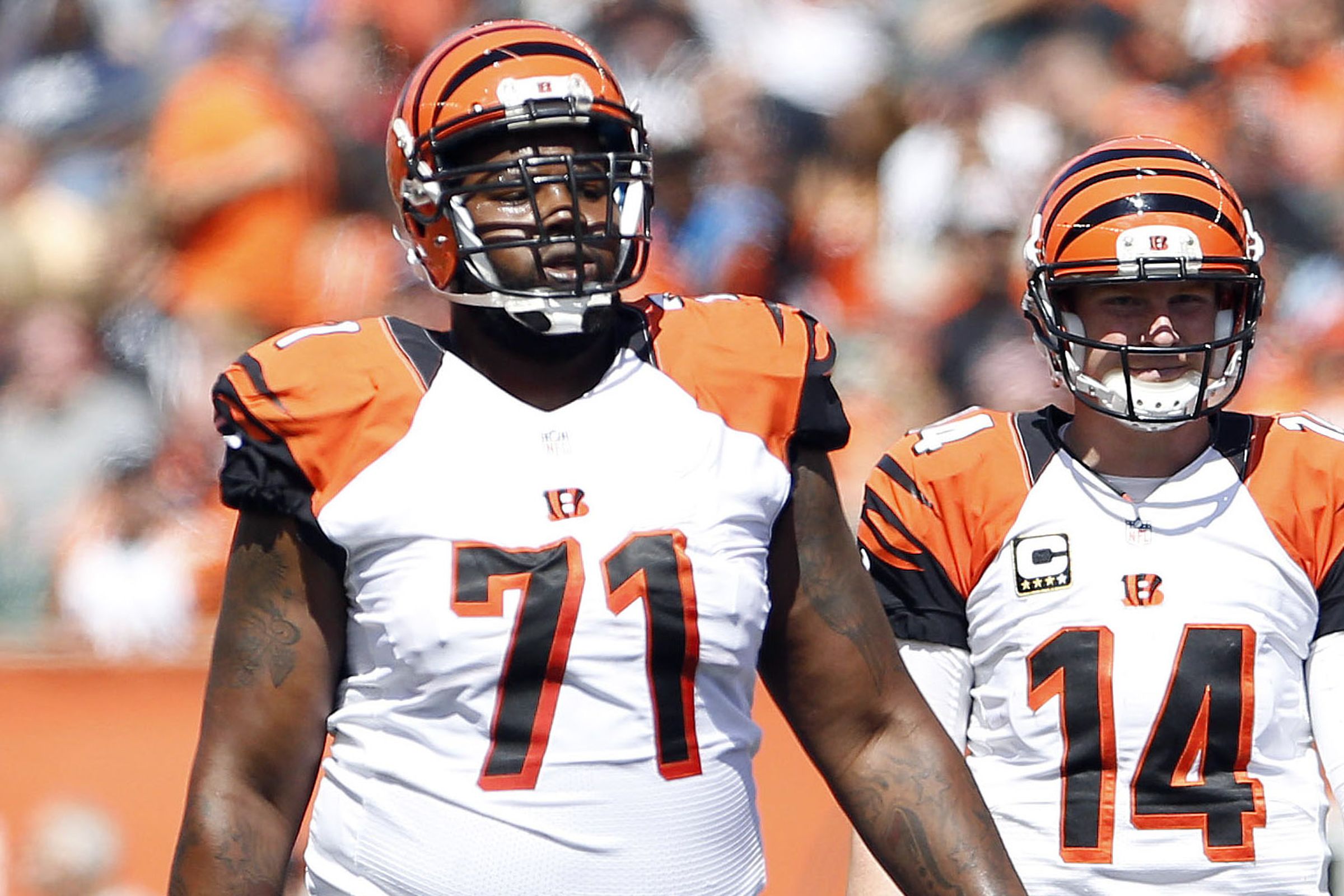 Sports Cincinnati Bengals 4k Ultra HD Wallpaper