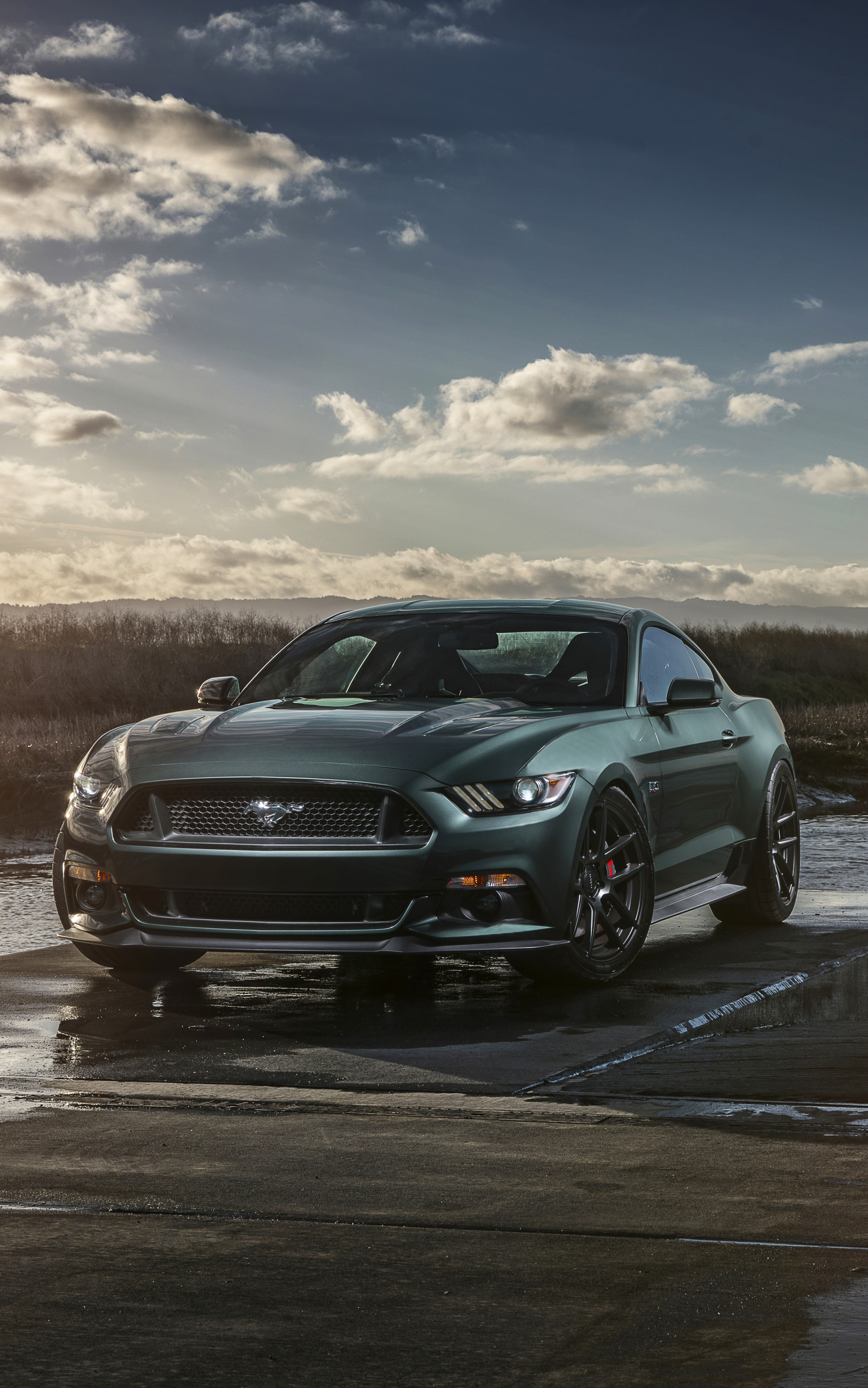 Download mobile wallpaper Ford, Car, Ford Mustang, Muscle Car, Ford Mustang Gt, Vehicles for free.