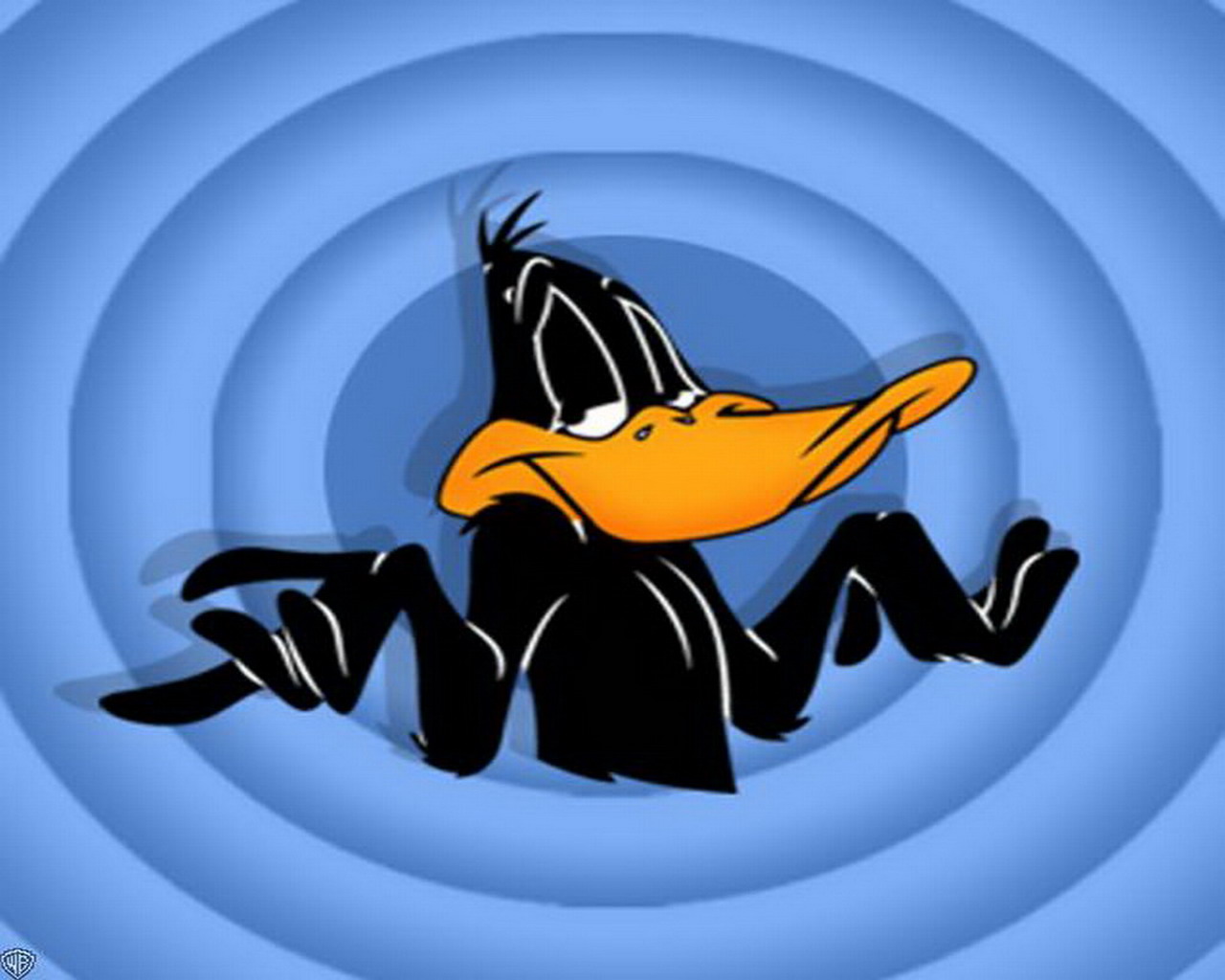 1479701 télécharger le fond d'écran daffy duck, séries tv, looney tunes - économiseurs d'écran et images gratuitement