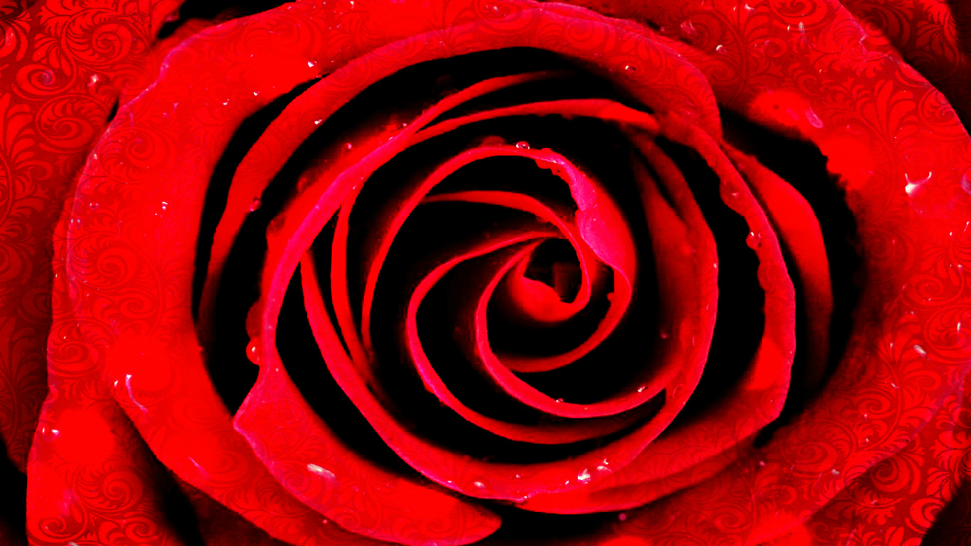 HD desktop wallpaper: Rose, Artistic download free picture #602509