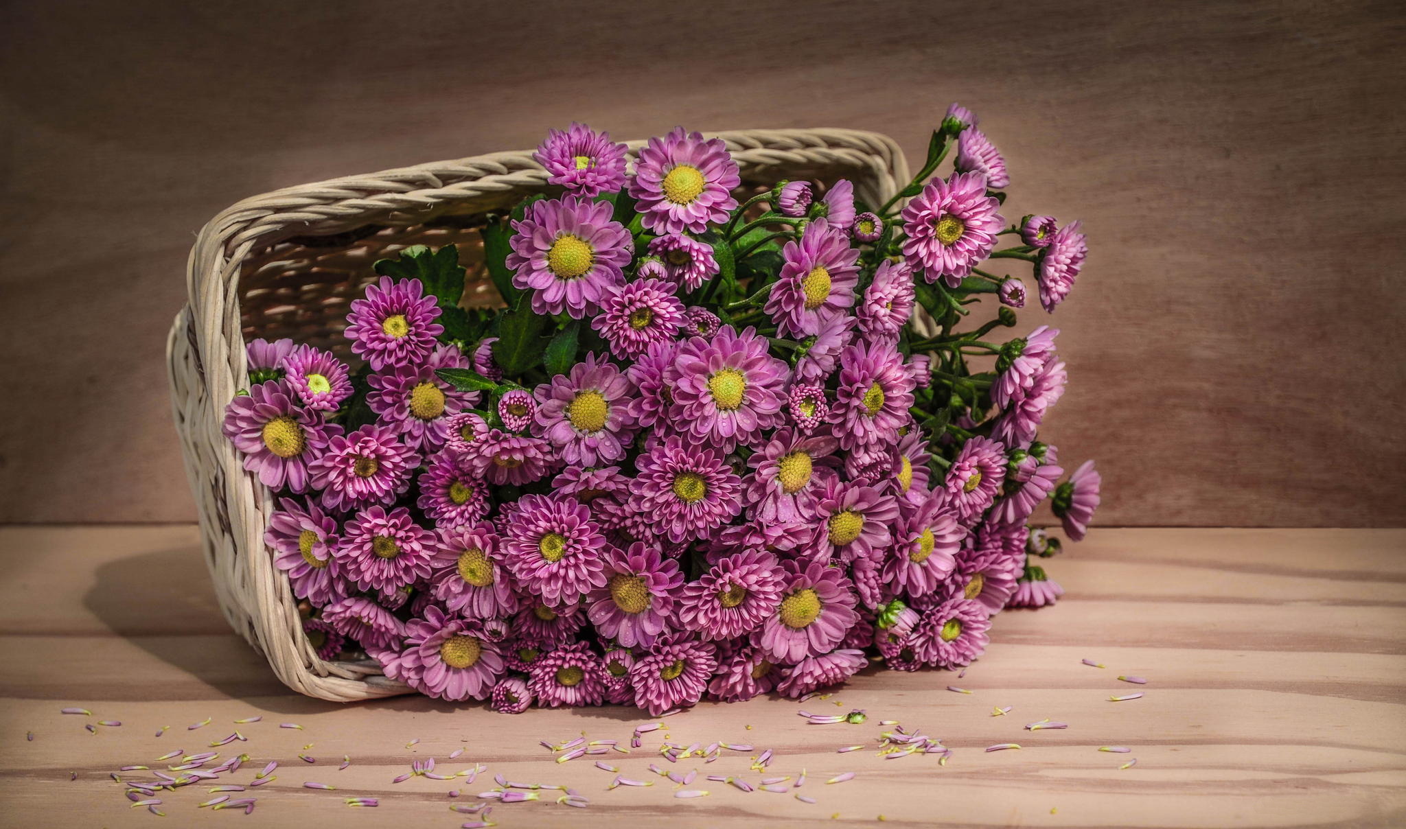 Laden Sie das Korb, Blumen, Blütenblätter-Bild kostenlos auf Ihren PC-Desktop herunter