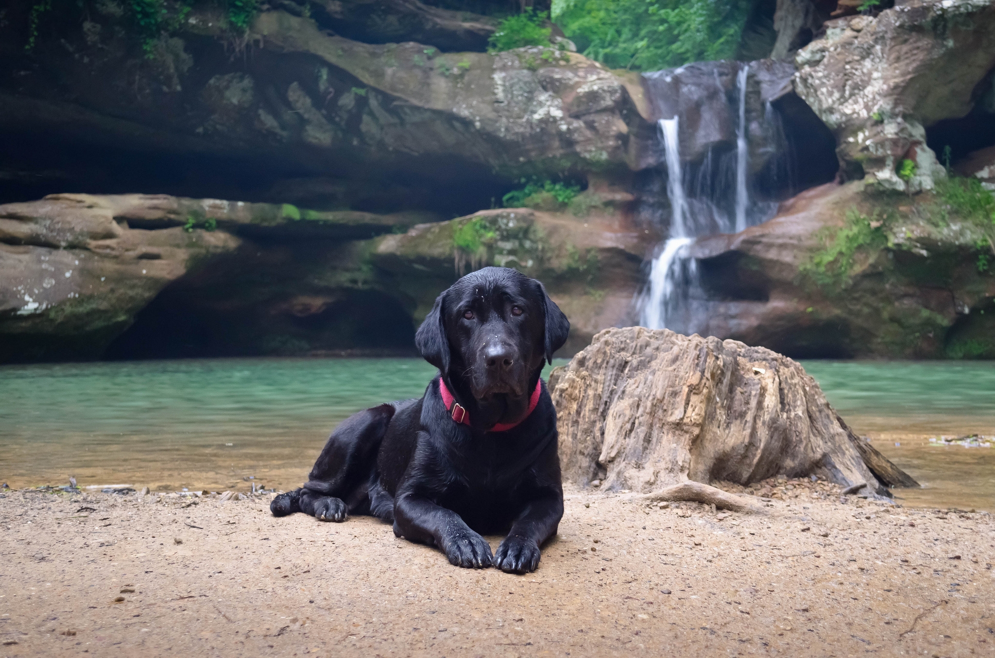 Download mobile wallpaper Lie, To Lie Down, Animals, Dog, Waterfall, Sand, Labrador for free.