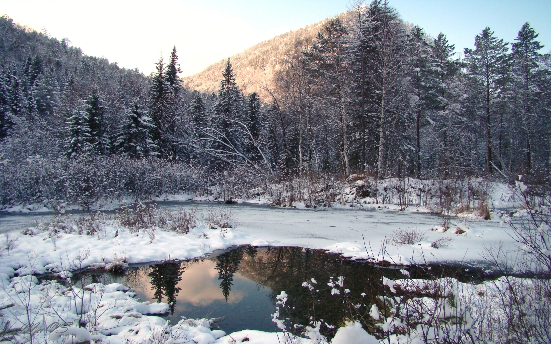 8068 скачать картинку зима, пейзаж, деревья, снег, елки, озера - обои и заставки бесплатно