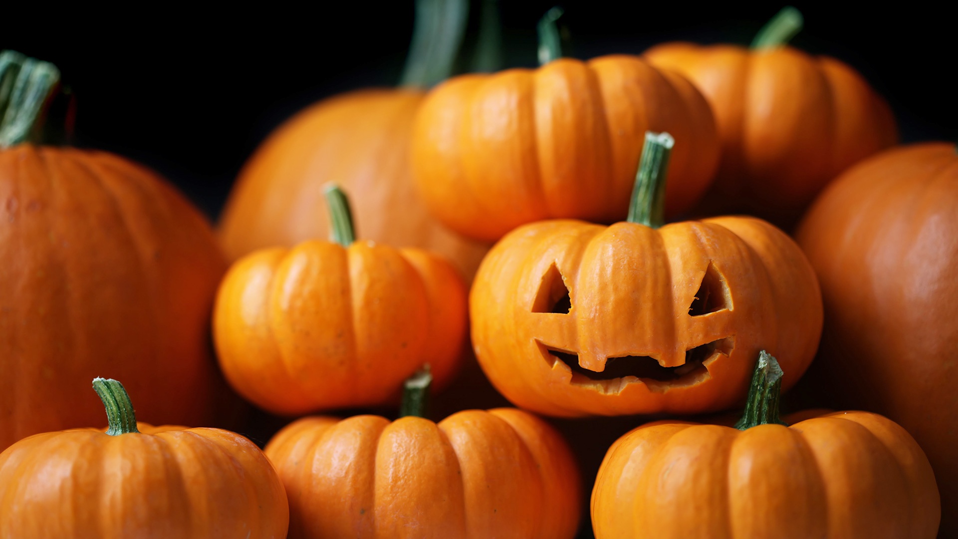 60 Pumpkin HD Wallpapers and Backgrounds
