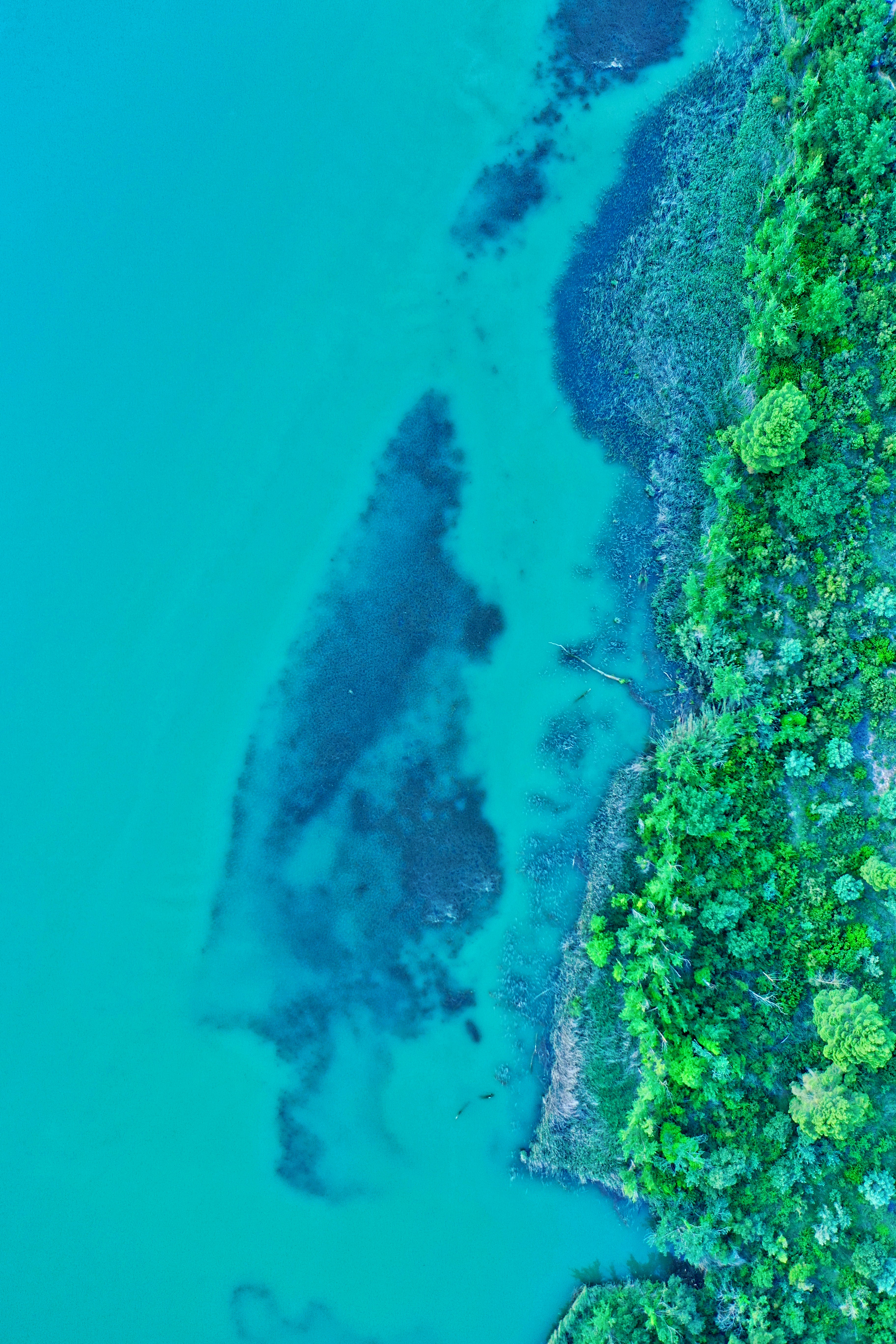 Free download wallpaper View From Above, Nature, Water, Island, Plants on your PC desktop