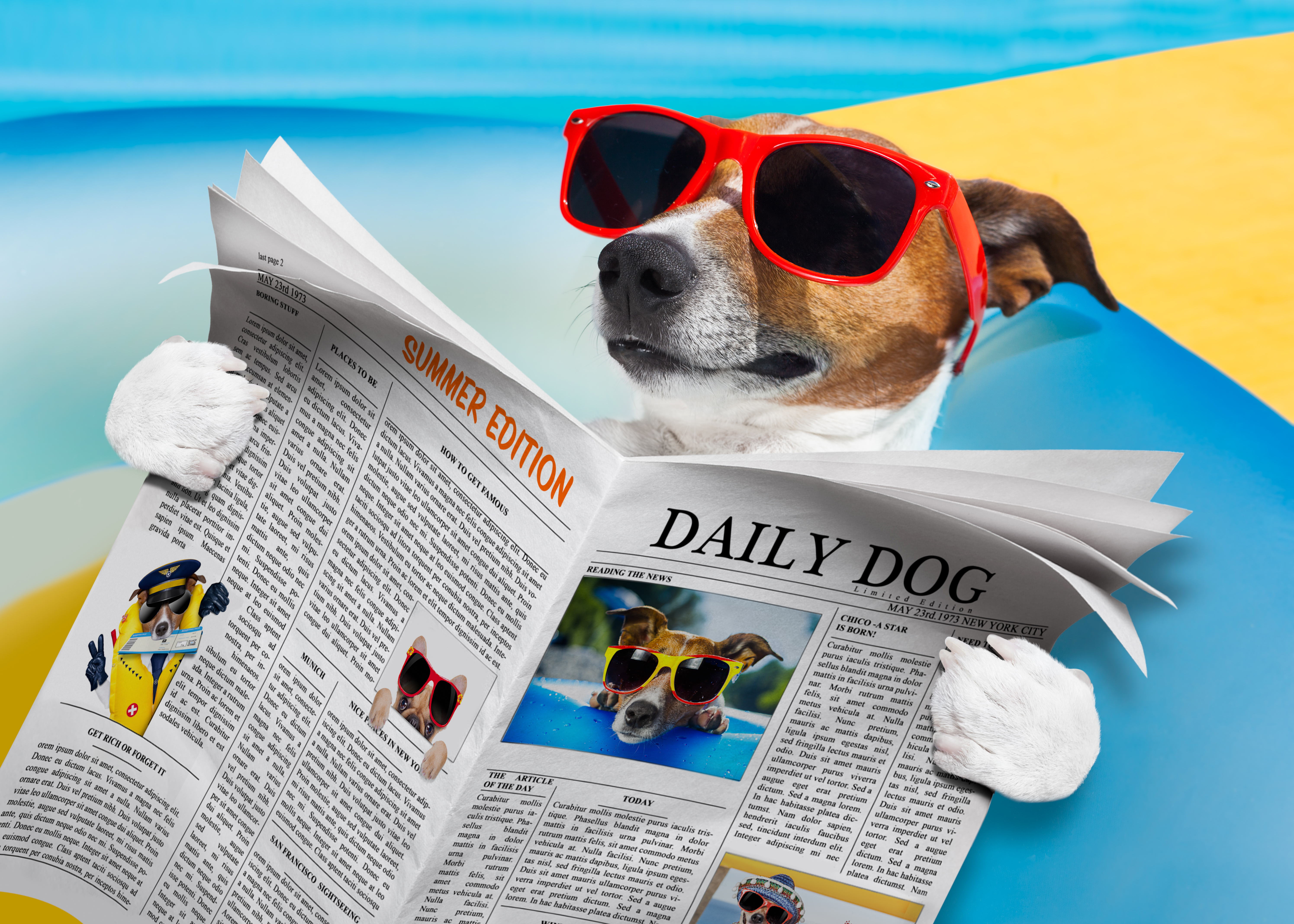 Собака читает газету