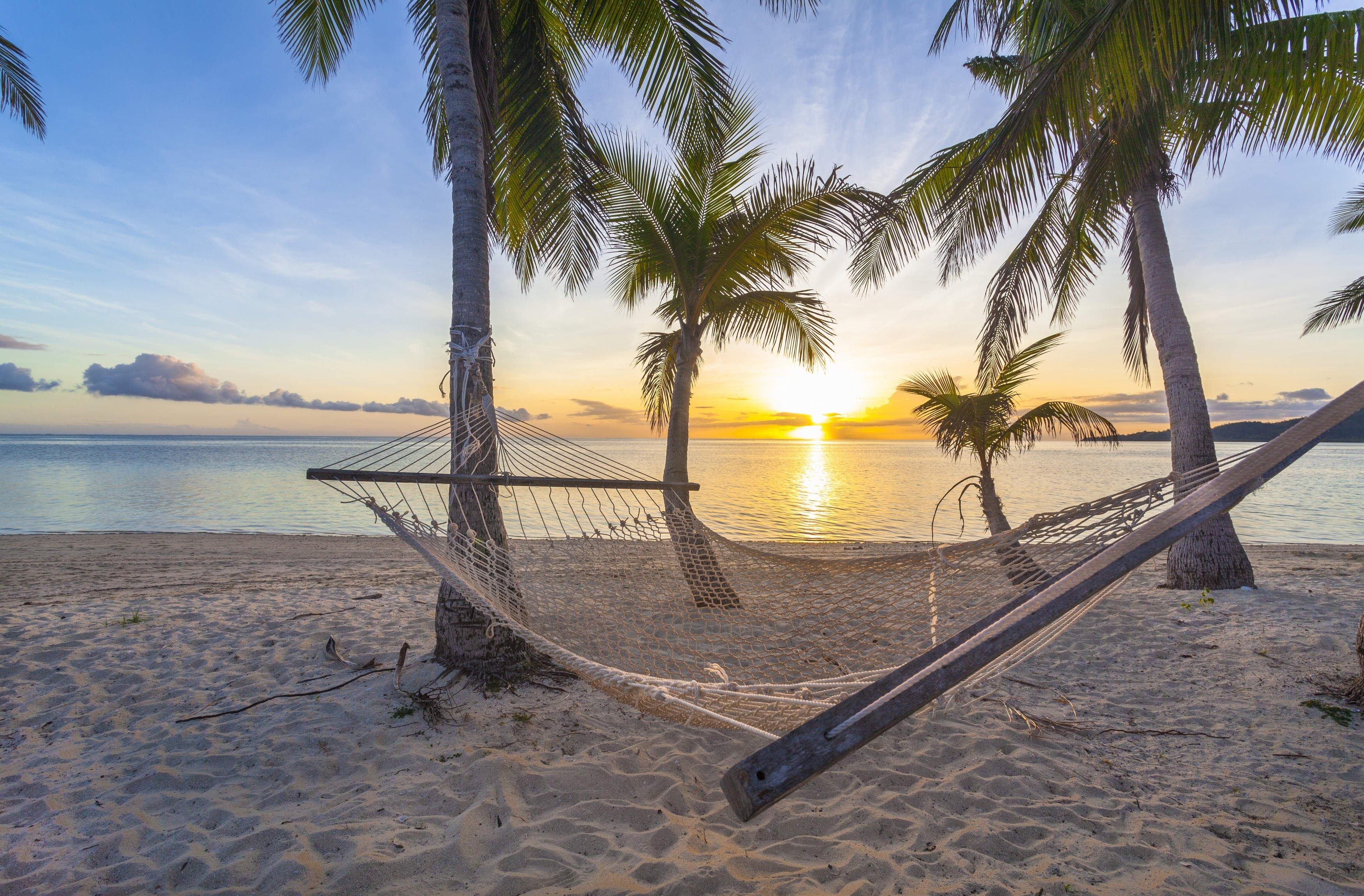 hammock, tropics, beach, sea, man made, palm tree, sand, sunset HD wallpaper