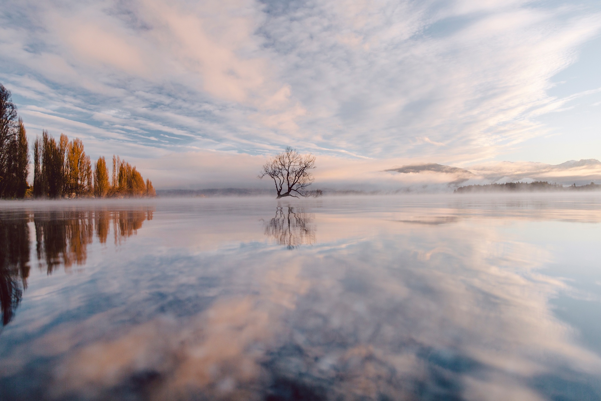 Download mobile wallpaper Nature, Lake, Reflection, Tree, Earth, Cloud for free.