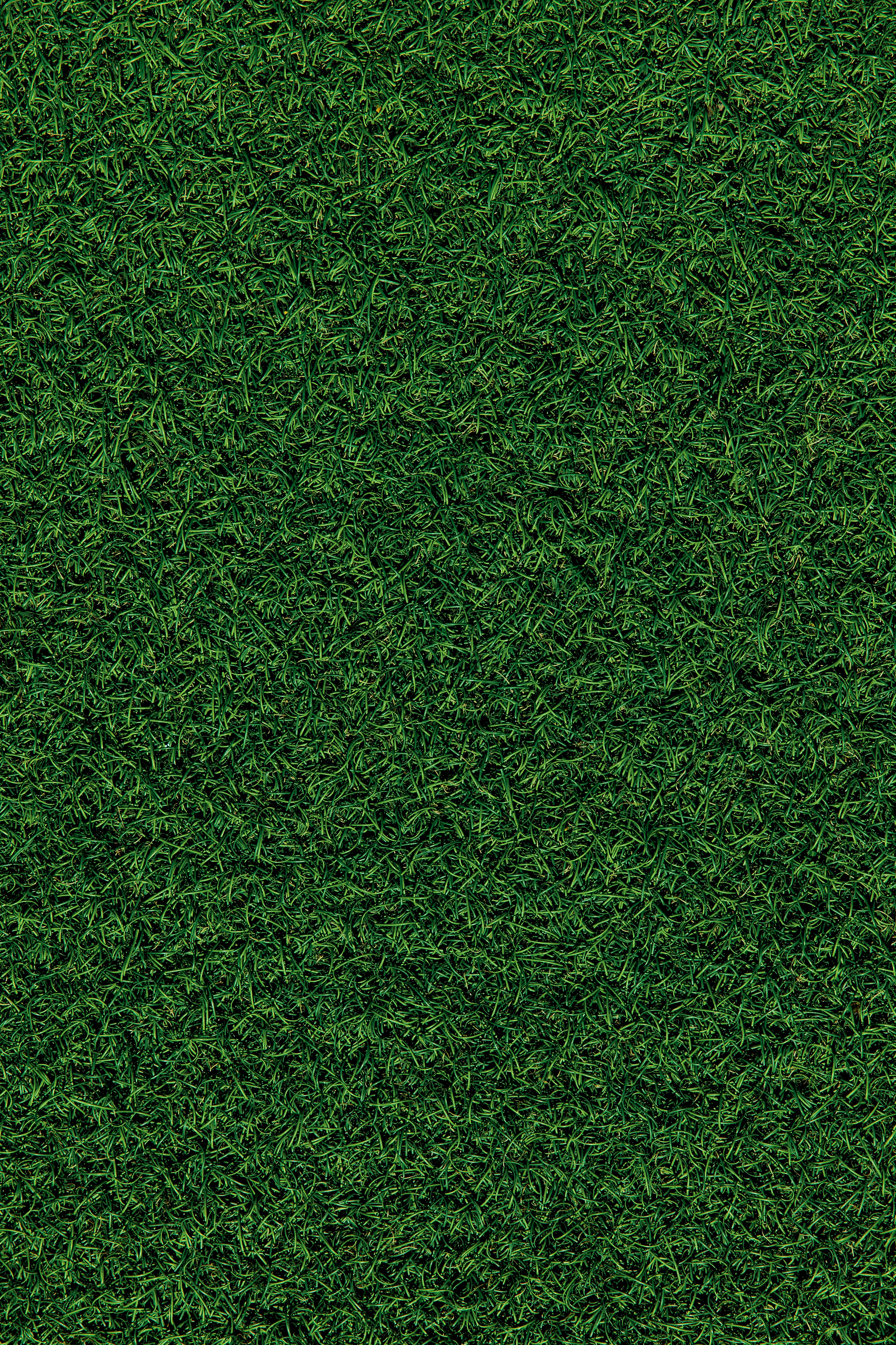 green, nature, covering, grass, field, coating