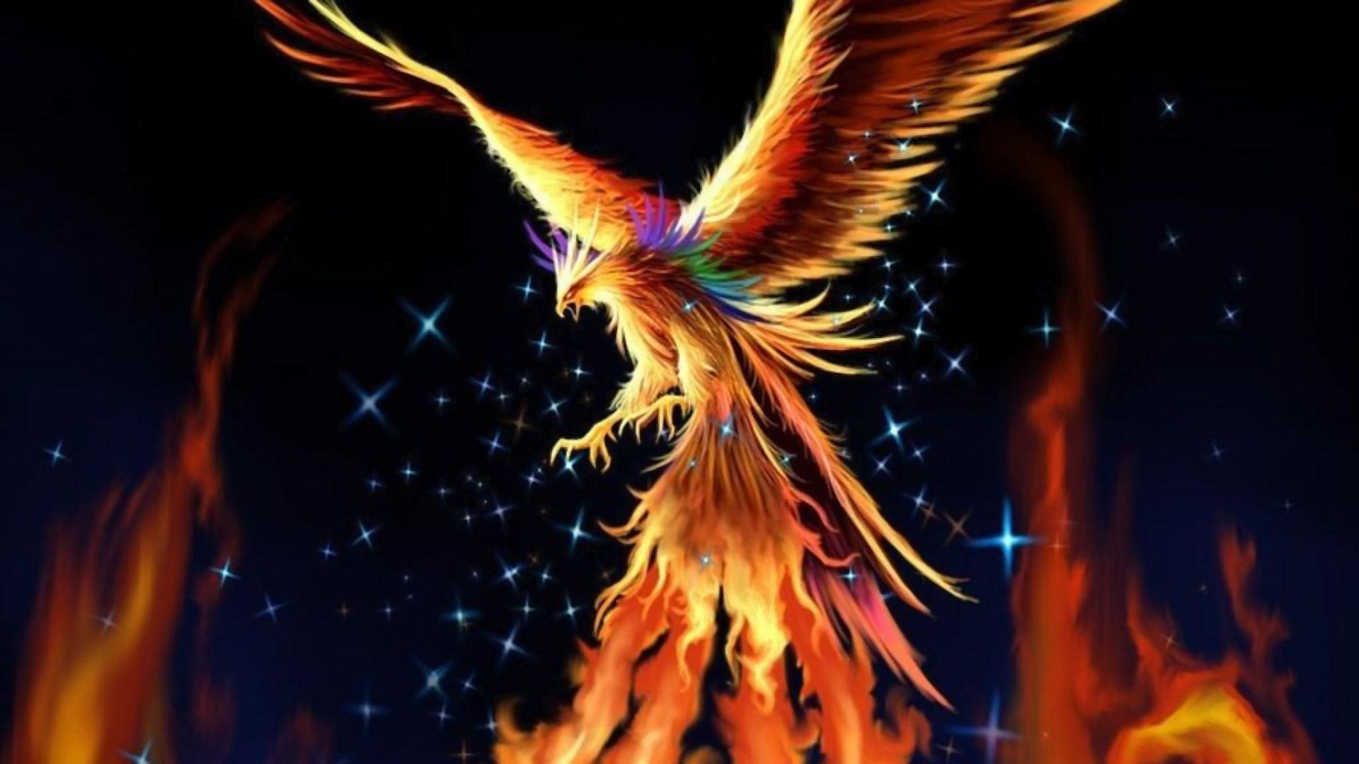 phoenix, fire, fantasy, bird, fantasy animals
