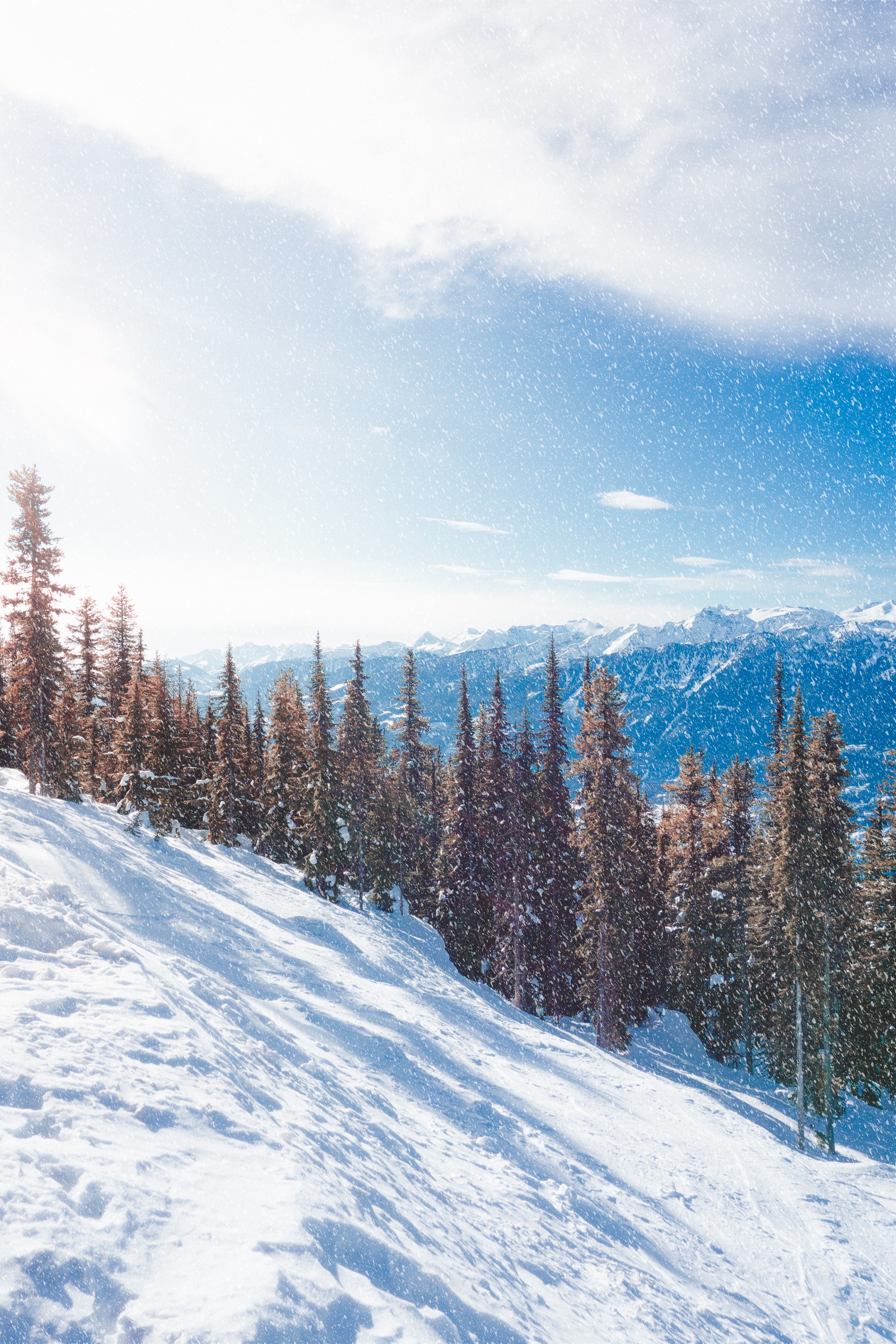 109232壁紙のダウンロード冬, 自然, 木, 山脈, 雪, スロープ, 坂, 降雪-スクリーンセーバーと写真を無料で
