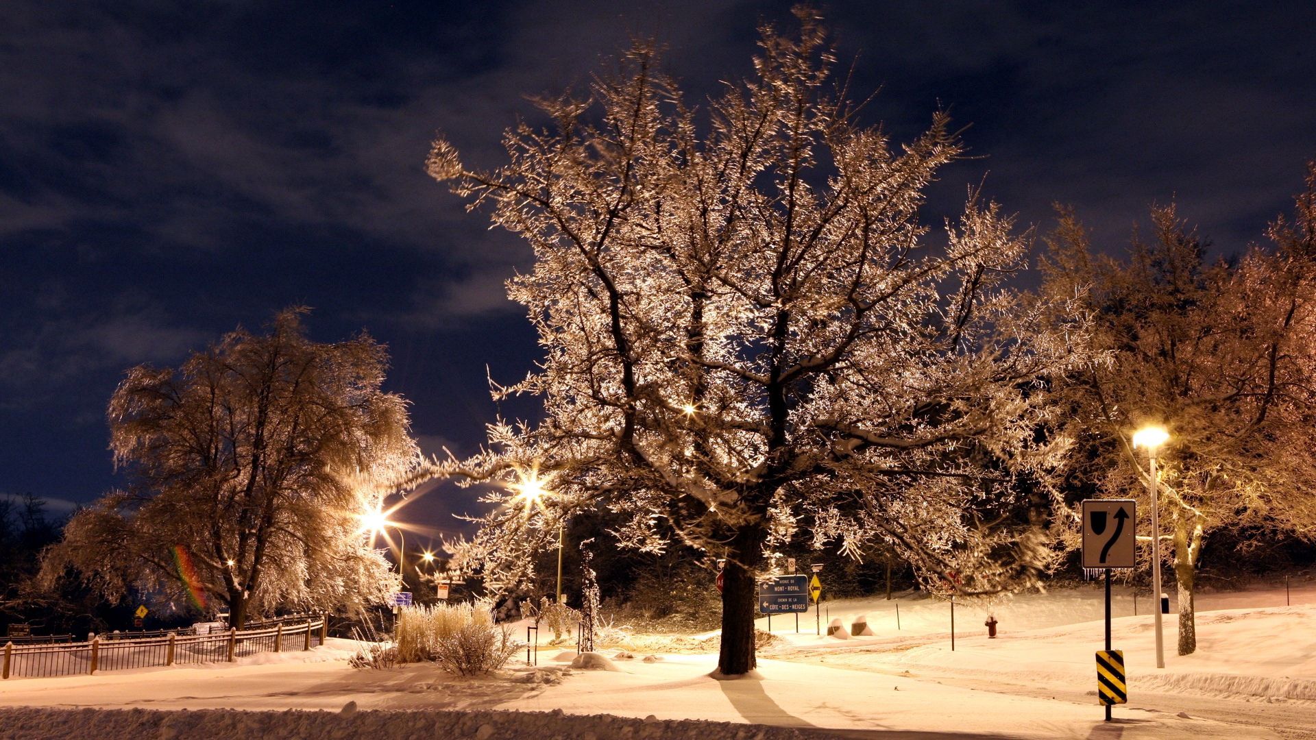 1920 x 1080 picture signs, winter, nature, trees, night, lights, park, lanterns, frost, hoarfrost