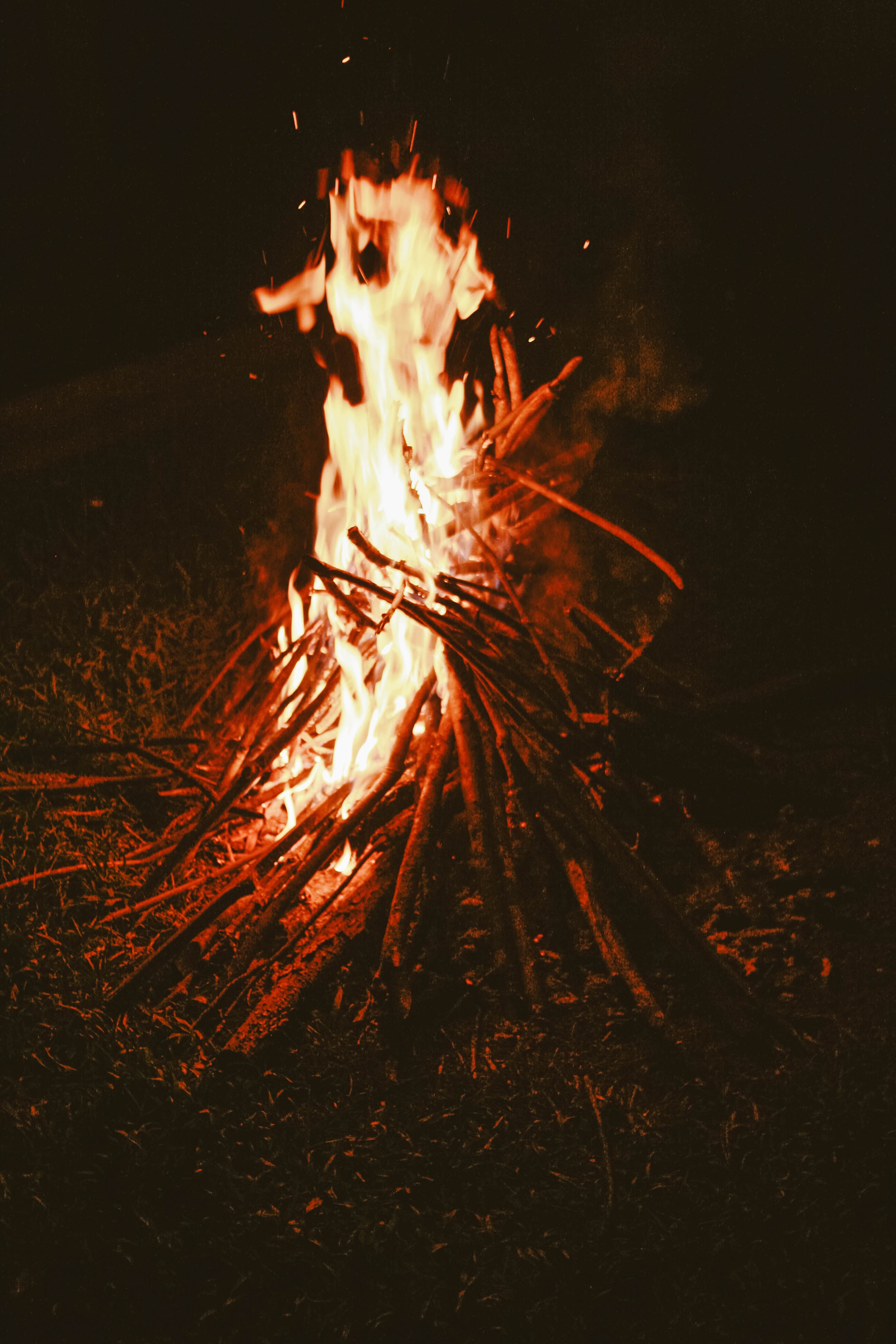 firewood, bonfire, fire, dark
