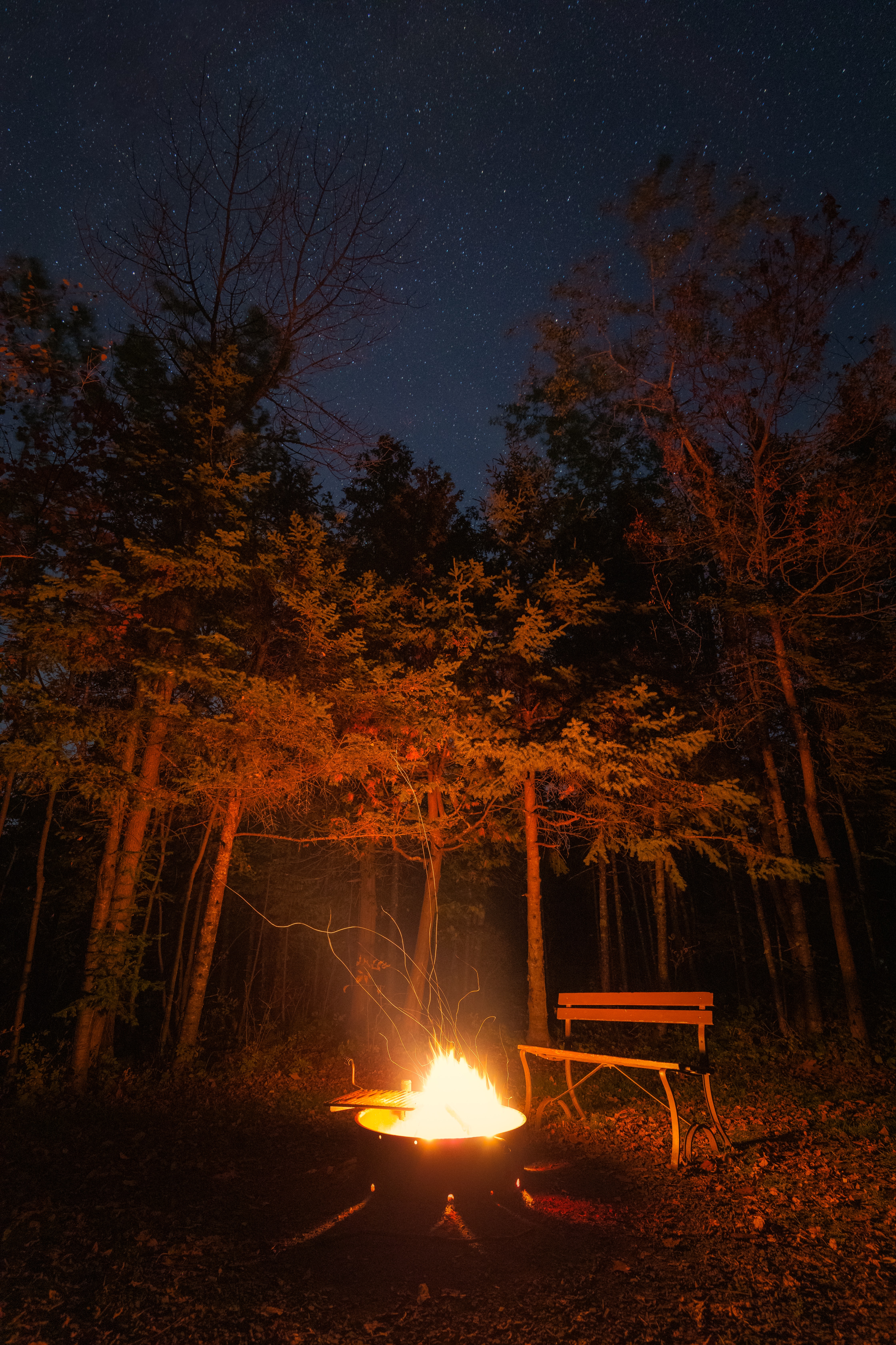 bonfire, night, dark, forest, bench