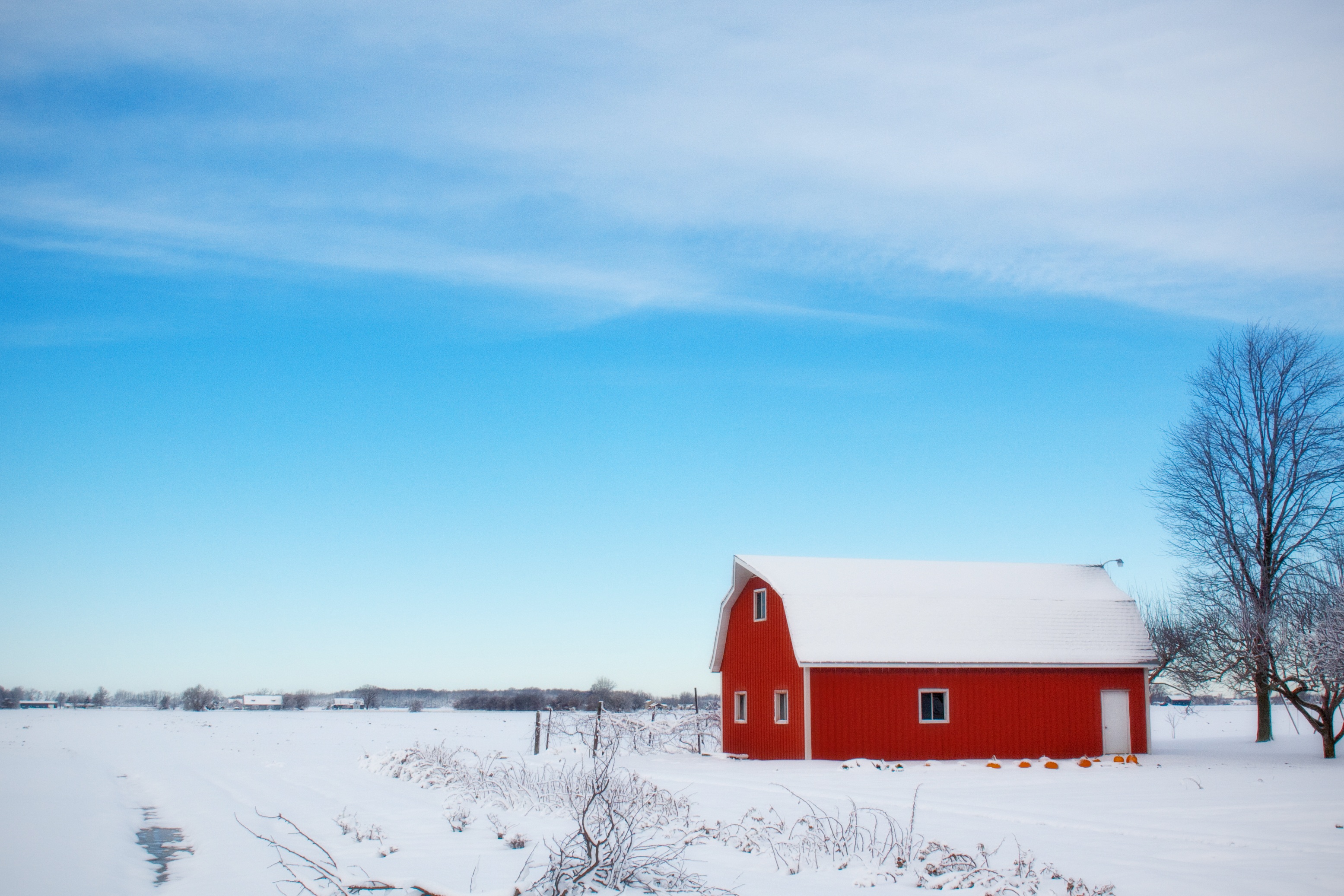 103304 Hintergrundbild herunterladen winter, natur, sky, holz, baum, scheune, schuppen - Bildschirmschoner und Bilder kostenlos