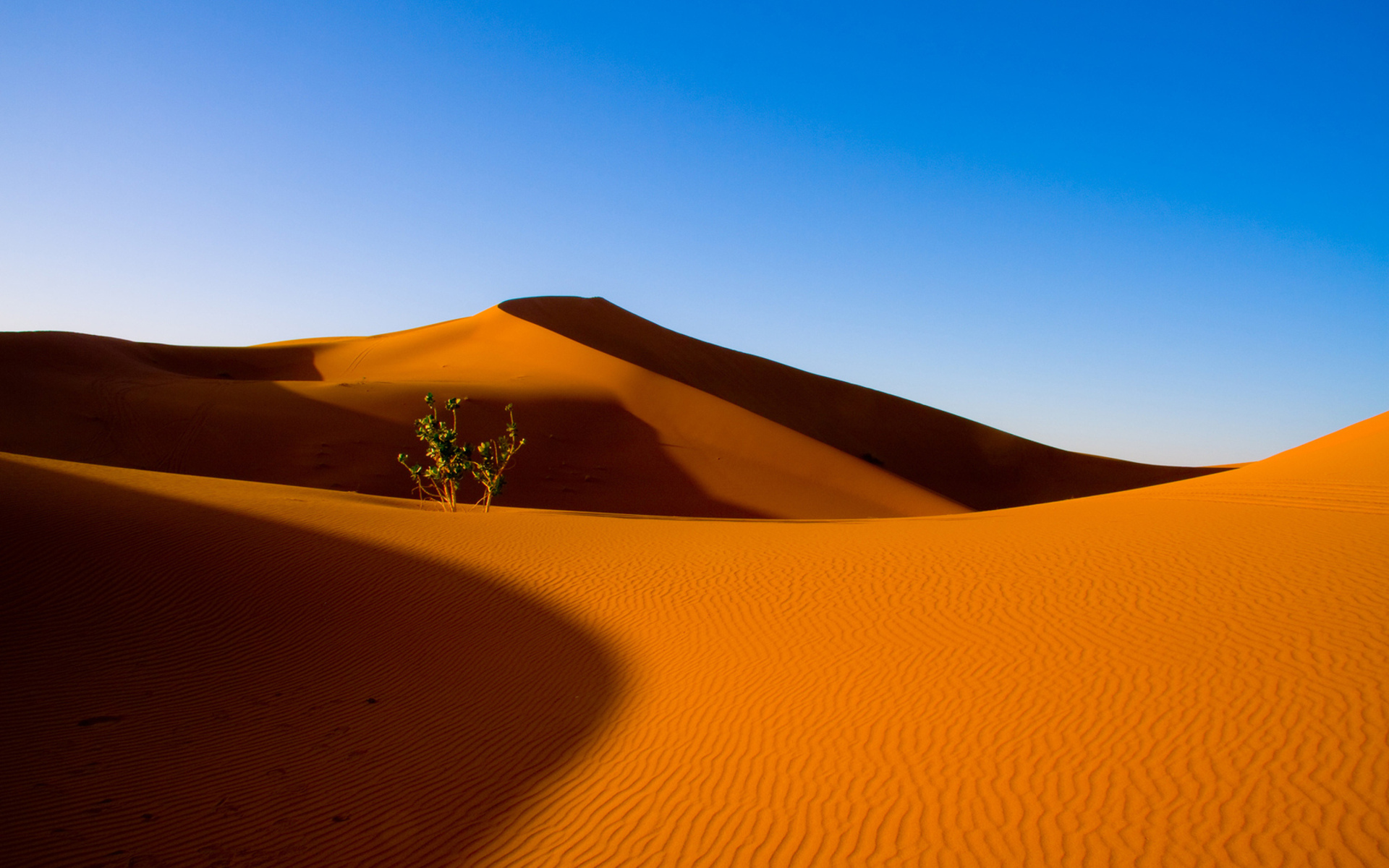 Сахара дюны и Барханы