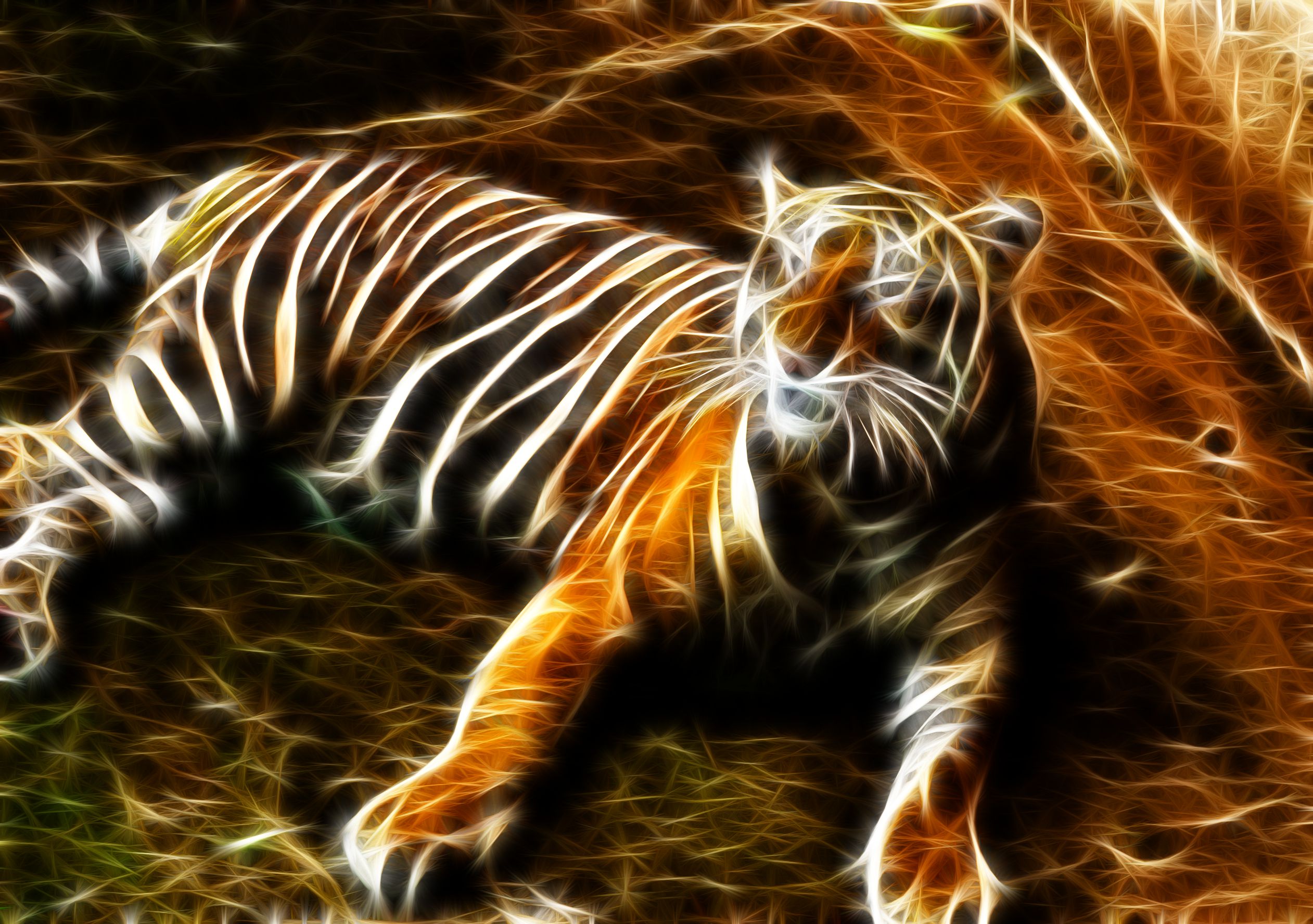 Тигр 3д