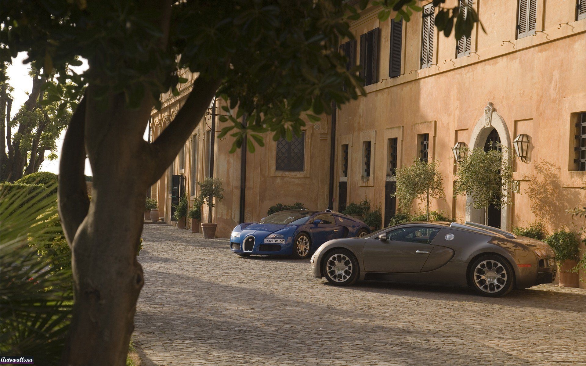 Скачать картинку Транспорт, Дома, Машины, Бугатти (Bugatti) в телефон бесплатно.