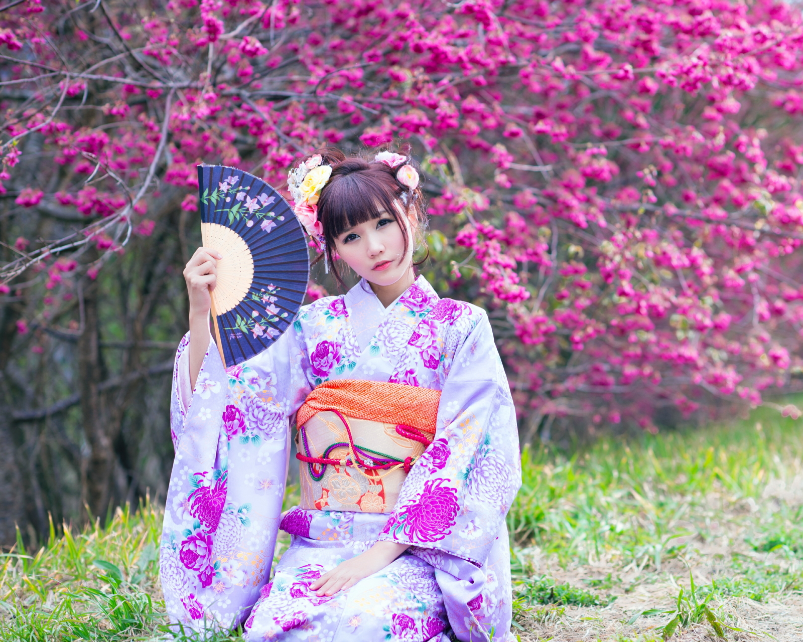 Как называют девушку в японии. Японка в кимоно. Японская девушка. Японская девушка в кимоно. Красивые японки в кимоно.