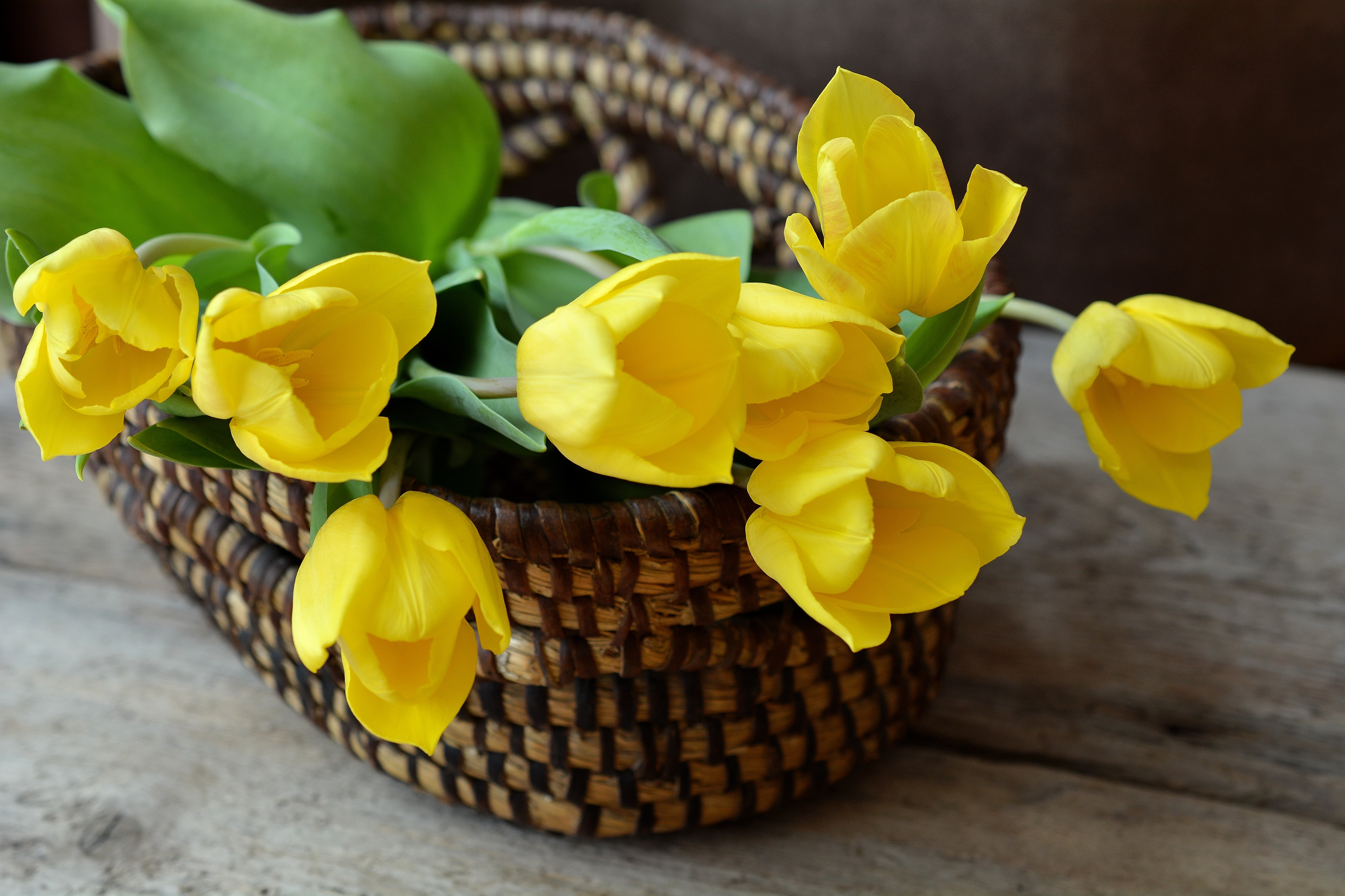 Download mobile wallpaper Tulips, Basket, Flowers, Bouquet for free.