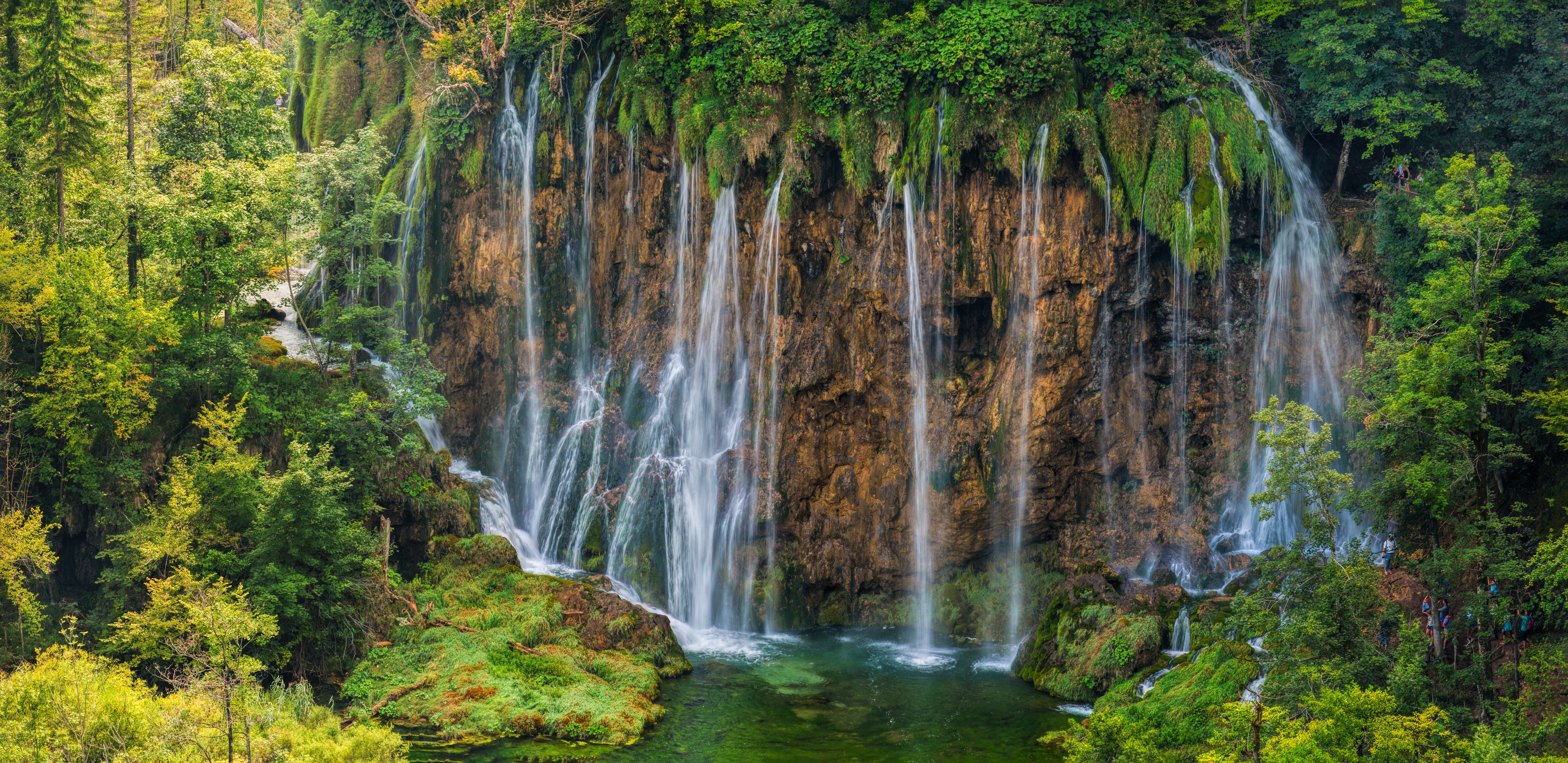 nature, greenery, earth, waterfall, croatia, plitvice lakes, tree, waterfalls
