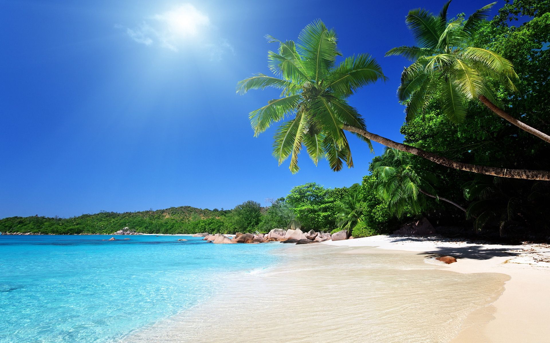 beach, nature, palms, tropics, sand
