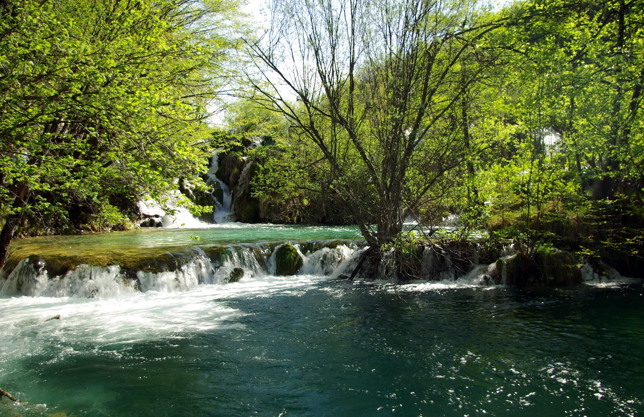 72382 завантажити шпалери річка, природа, дерева, літо, водоспад, ясно, я бачу, хорватія - заставки і картинки безкоштовно