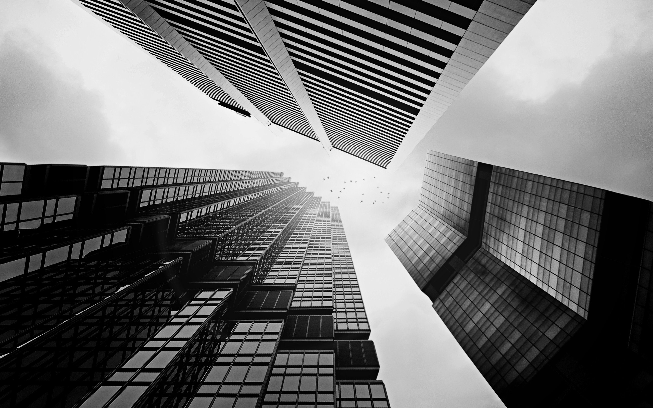 Обои Architector Black and White