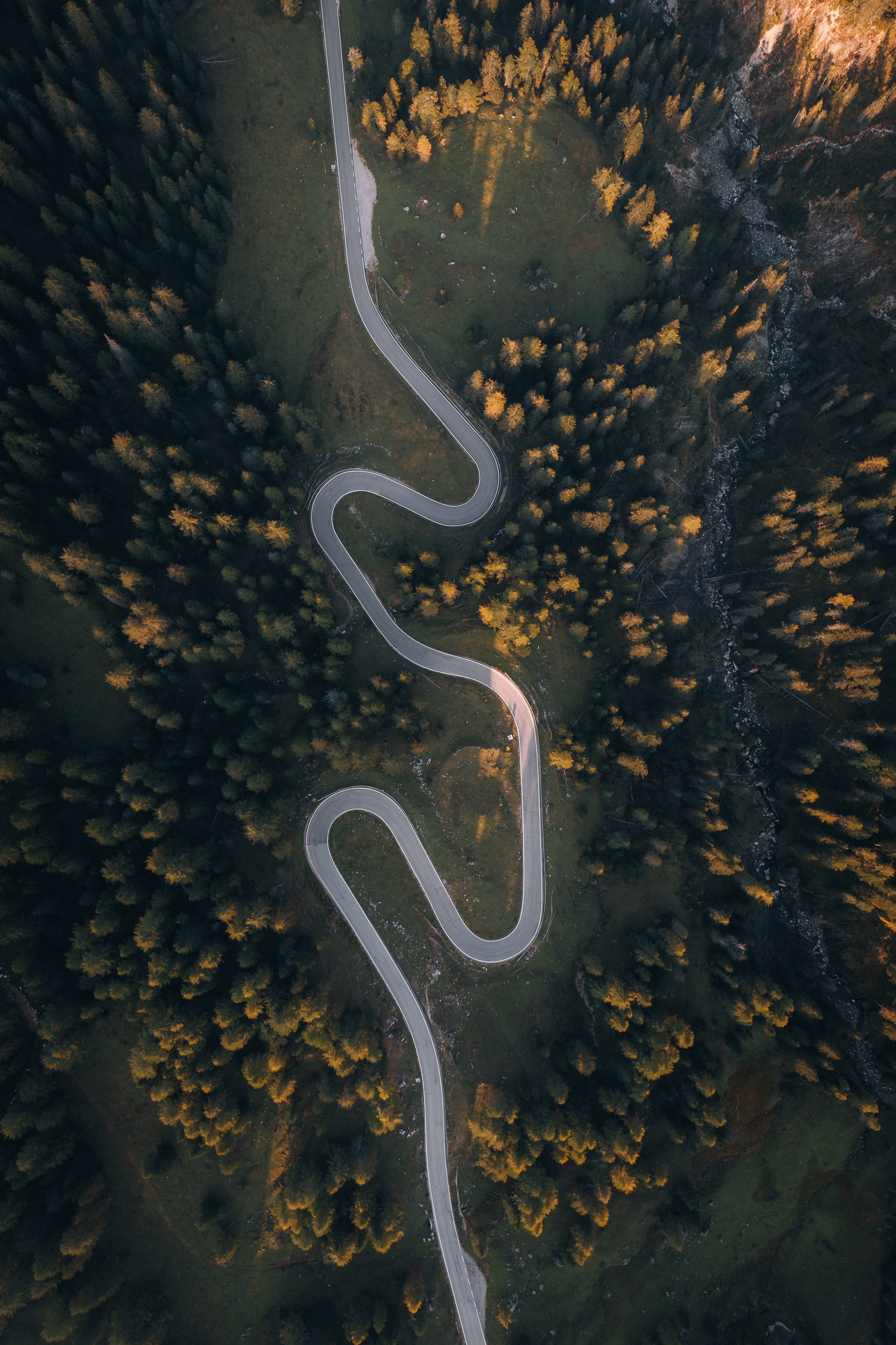 Mobile wallpaper sinuous, nature, trees, view from above, road, hill, winding