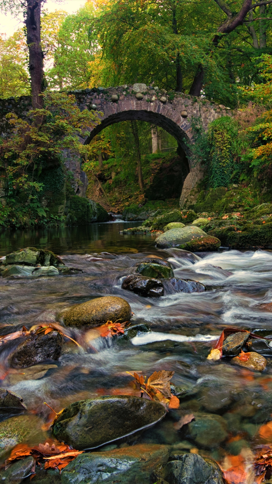 Download mobile wallpaper Forest, Fall, Earth, Bridge, River for free.