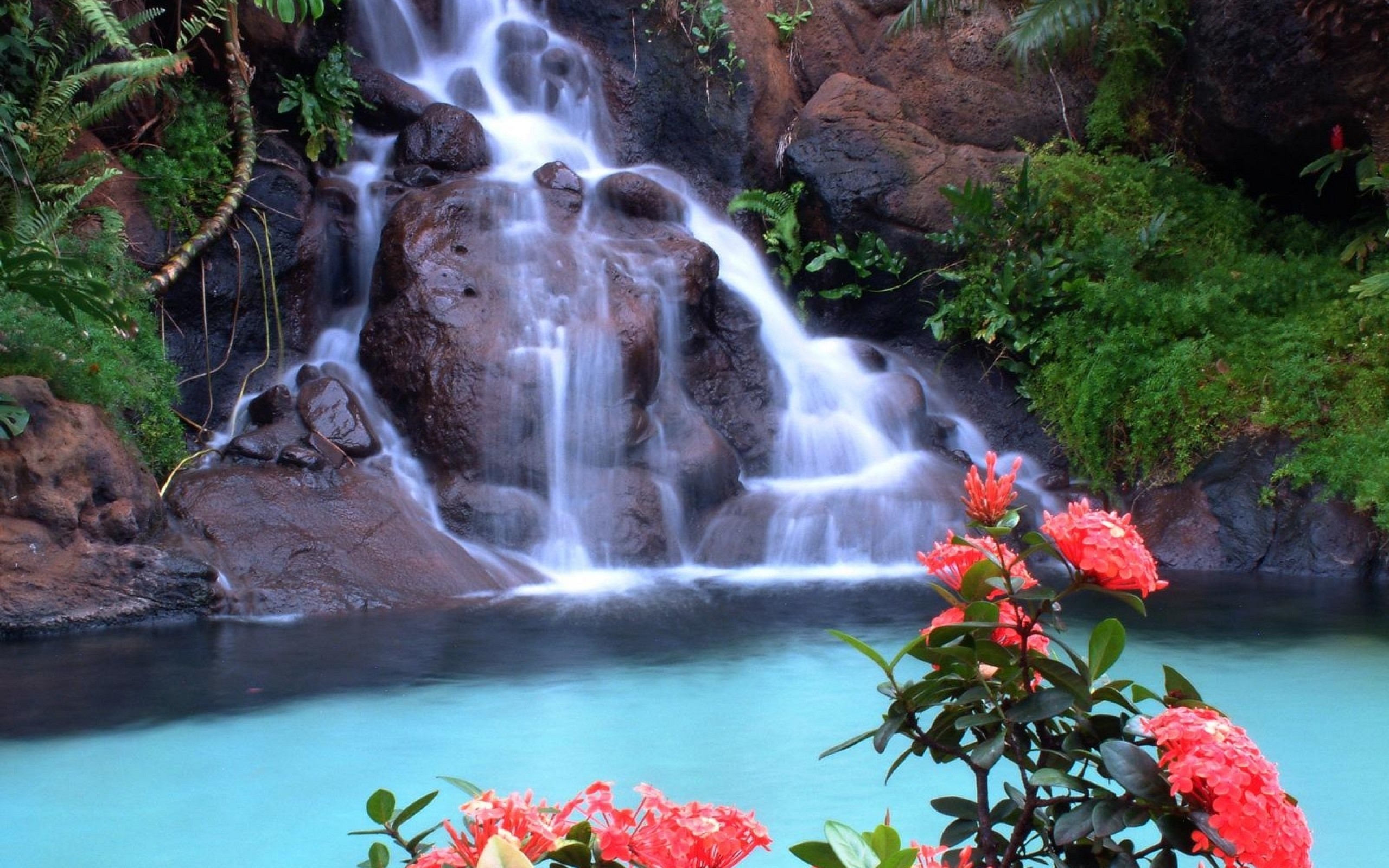 Baixe gratuitamente a imagem Cachoeiras, Paisagem, Natureza na área de trabalho do seu PC