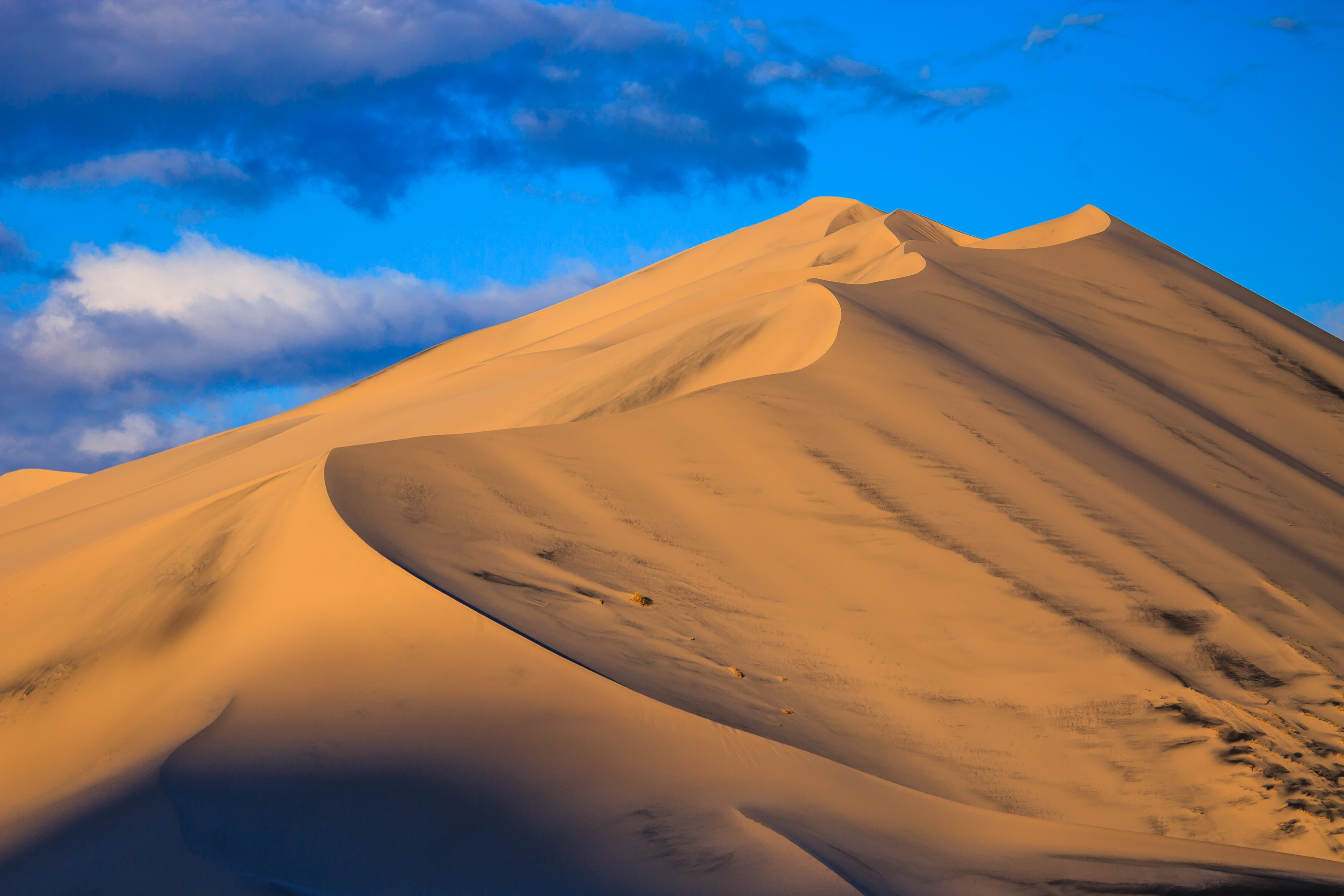 nature, sand, desert, dust, dunes Phone Background