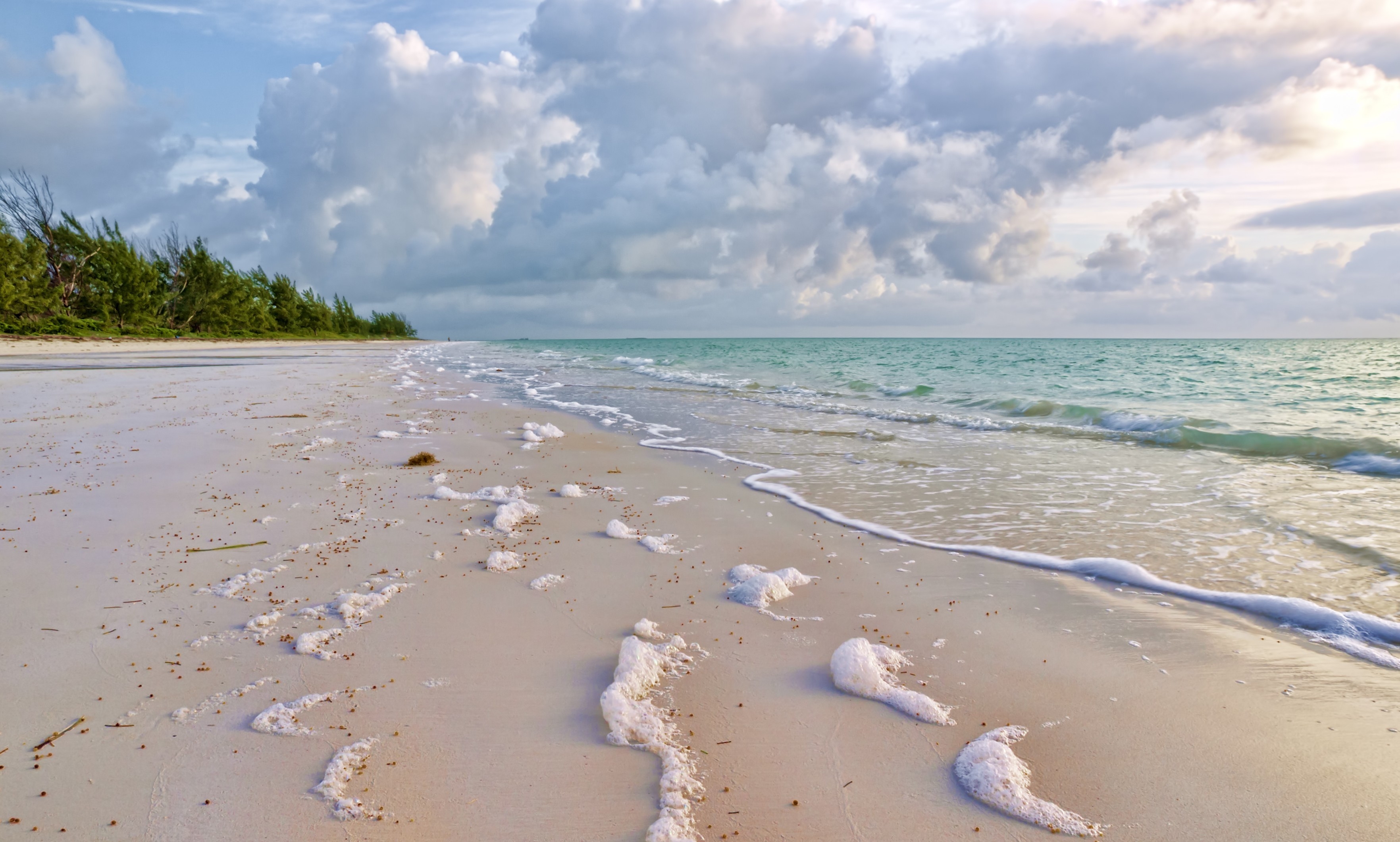 Пляж гача. Морское побережье. Пляж. Песчаный берег моря. Море песок.