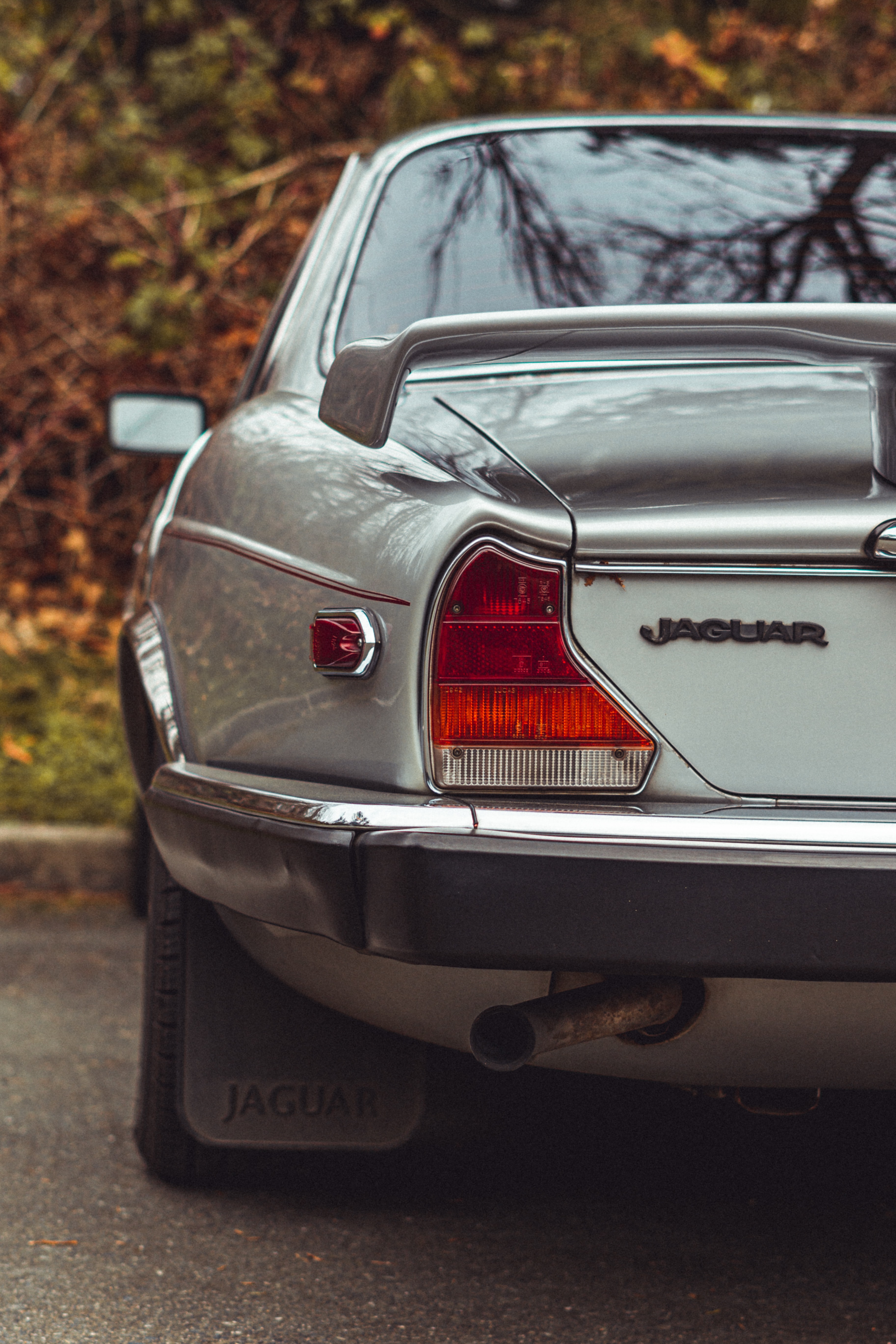 jaguar, cars, car, machine, vintage, back view, rear view, retro Panoramic Wallpaper