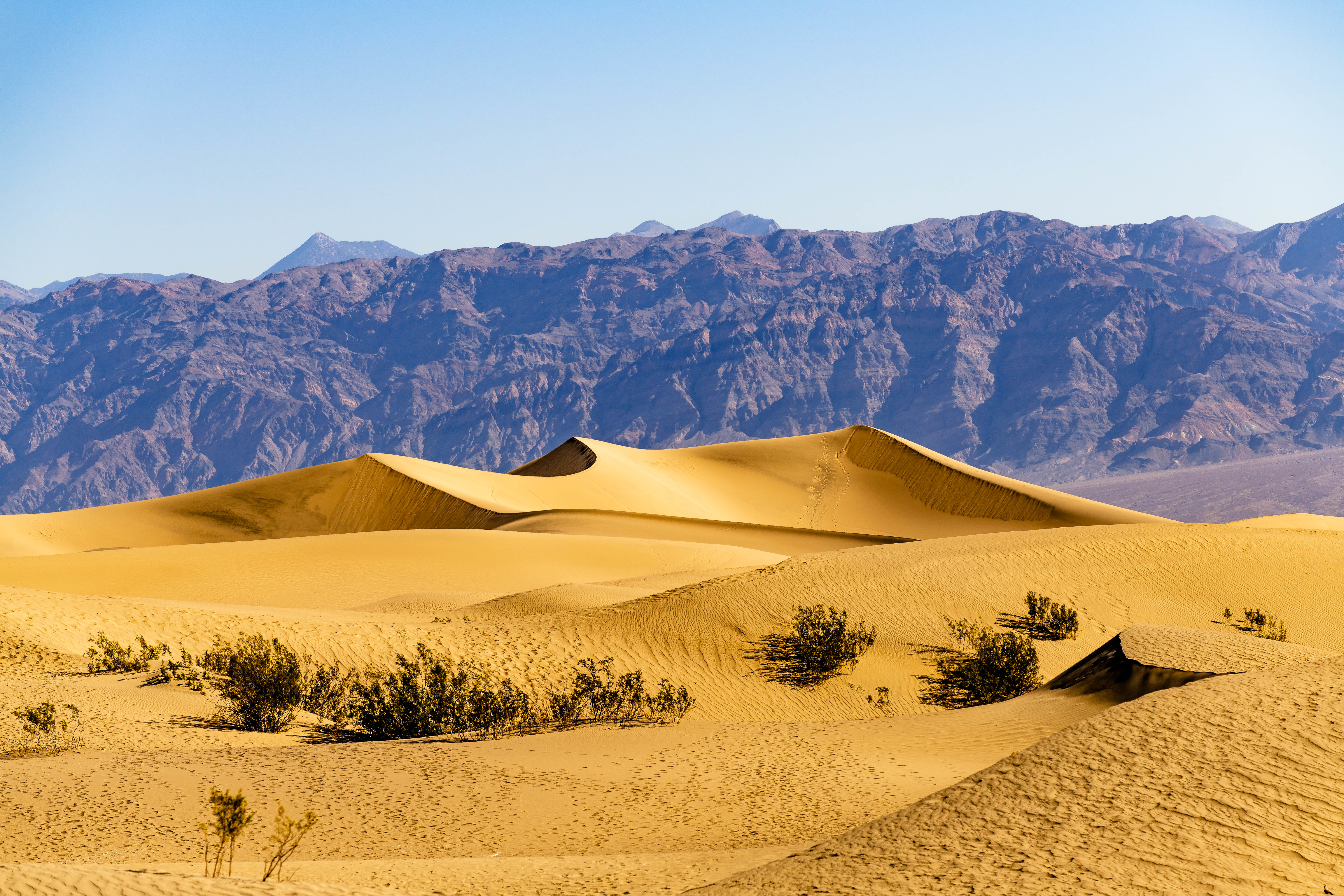 80112 Bild herunterladen natur, mountains, sand, wüste, bush, dünen, links - Hintergrundbilder und Bildschirmschoner kostenlos