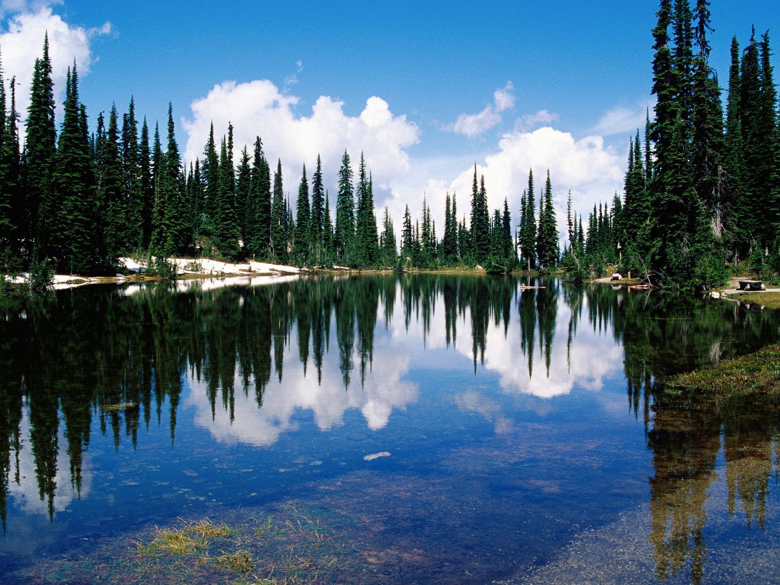 transparent, nature, water, trees, lake, reflection, canada, shore, bank, conifers, coniferous 2160p