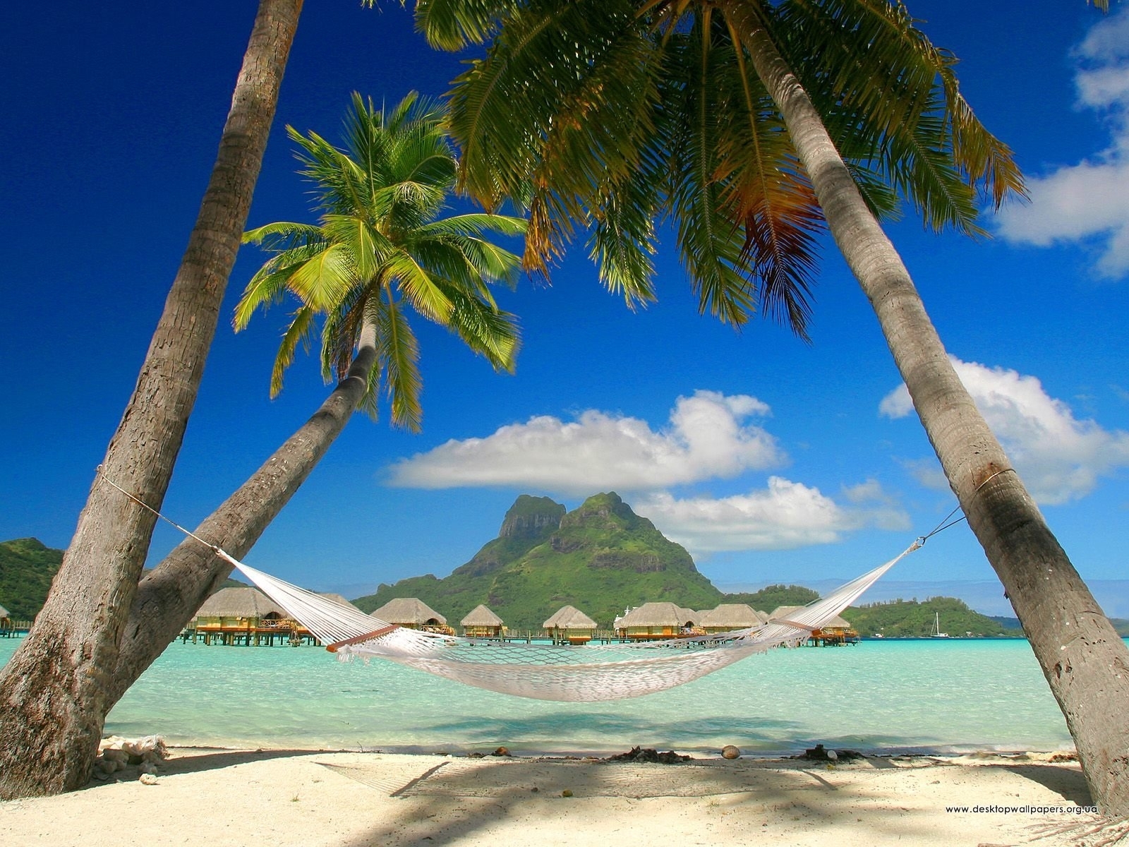 Free download wallpaper Landscape, Palms, Trees, Beach on your PC desktop